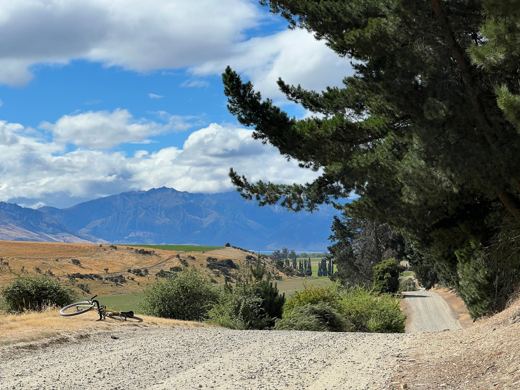 Looking north along the dips and rises of Hāwea back road towards Lake Hāwea. To the left of the gravel road a bike lies. Pine trees fringe the road to the right. It is a hot sunny day.