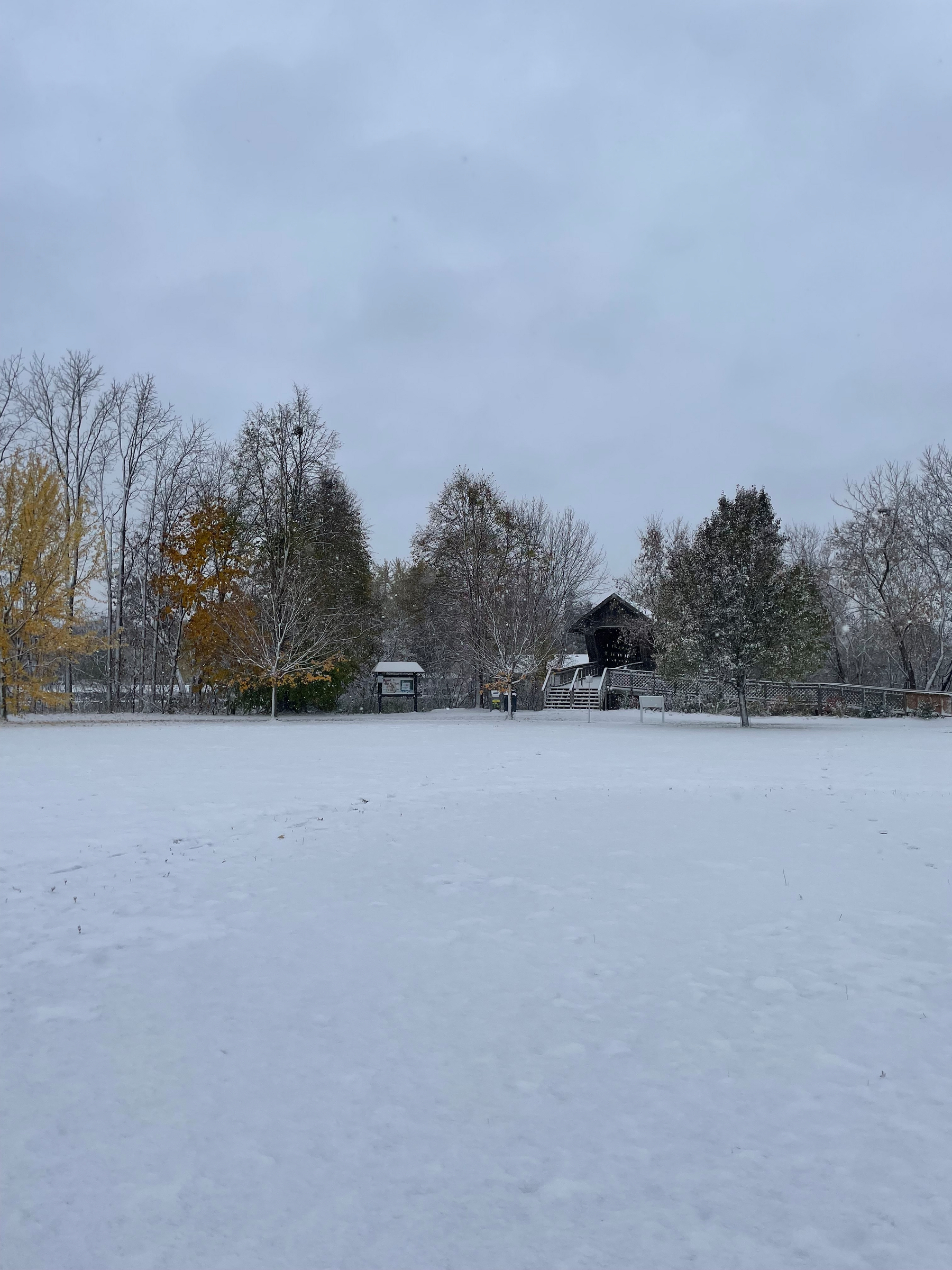 Snow blankets the park; looking towards the covered bridge in Guelph.