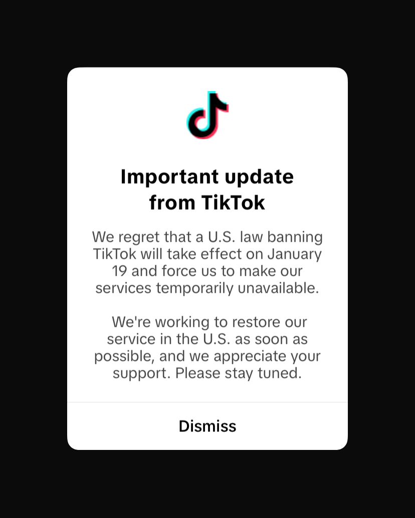 Auto-generated description: A TikTok notification informs users about a temporary unavailability of services due to a U.S. law taking effect on January 19, with efforts to restore service underway.