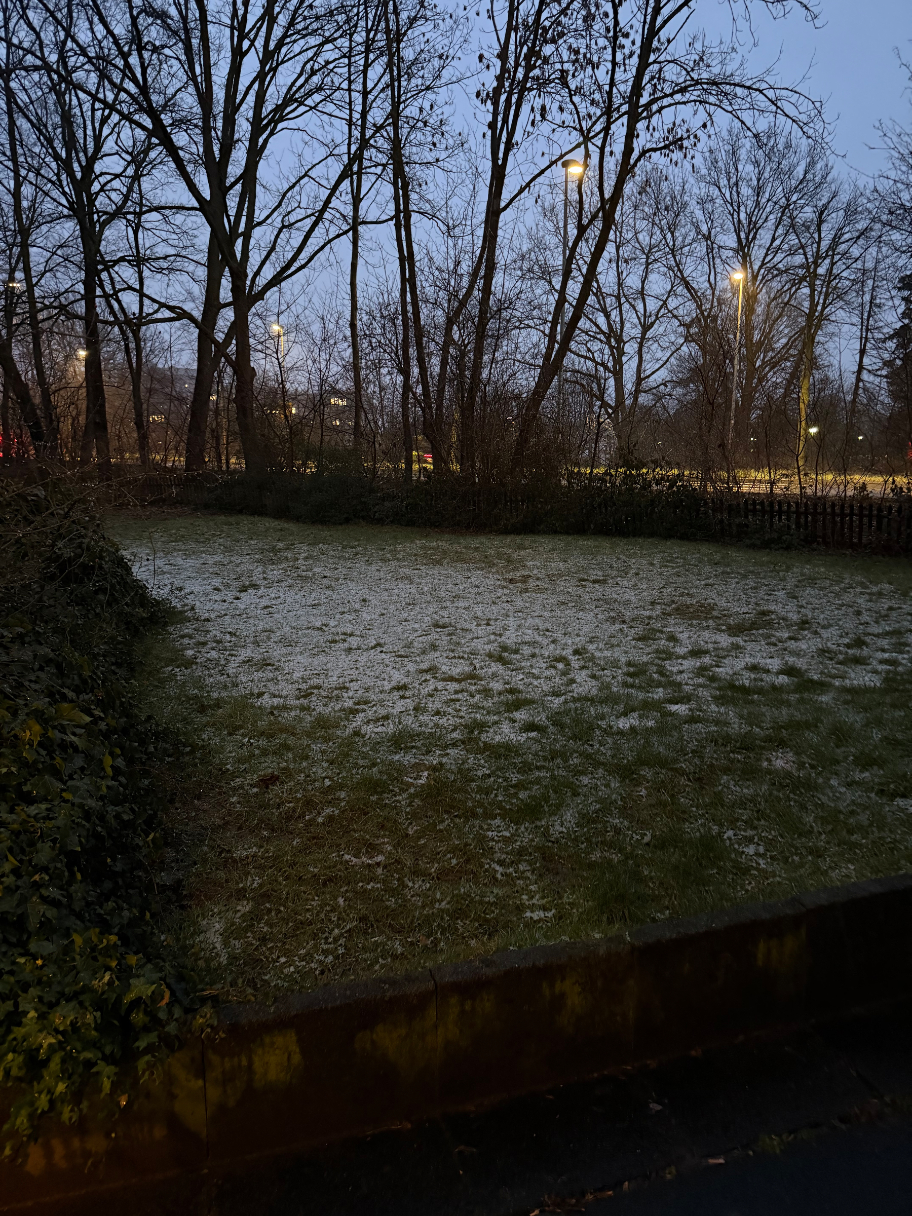 Grassy area with a light dusting of snow on top. 