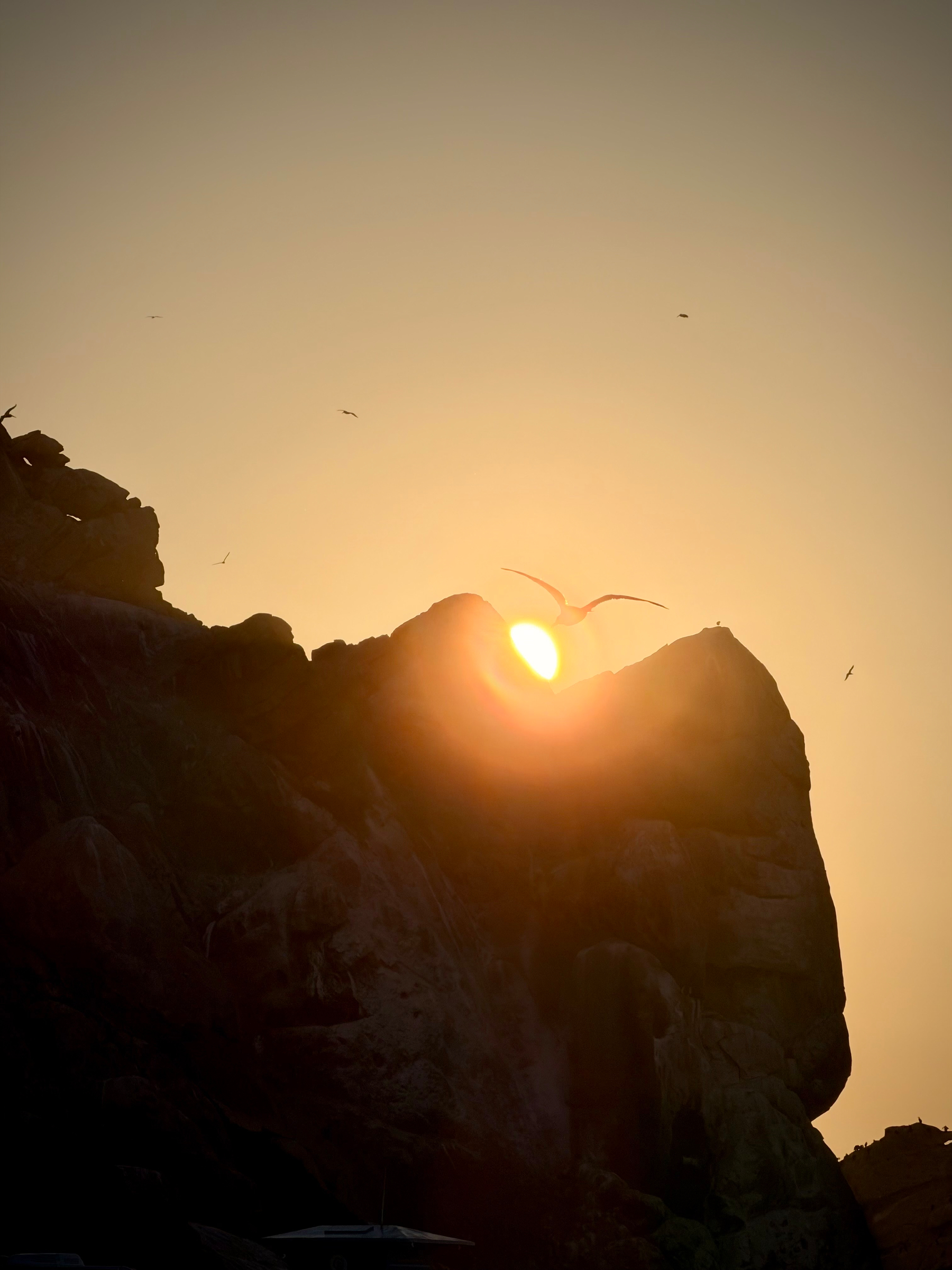Sunset behind a rock face with a bird flying between two peaks