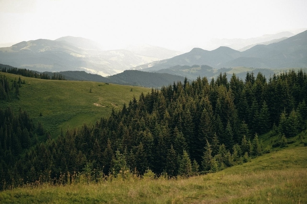 A lush green landscape with rolling hills and dense forests stretches towards distant mountains under a bright sky.