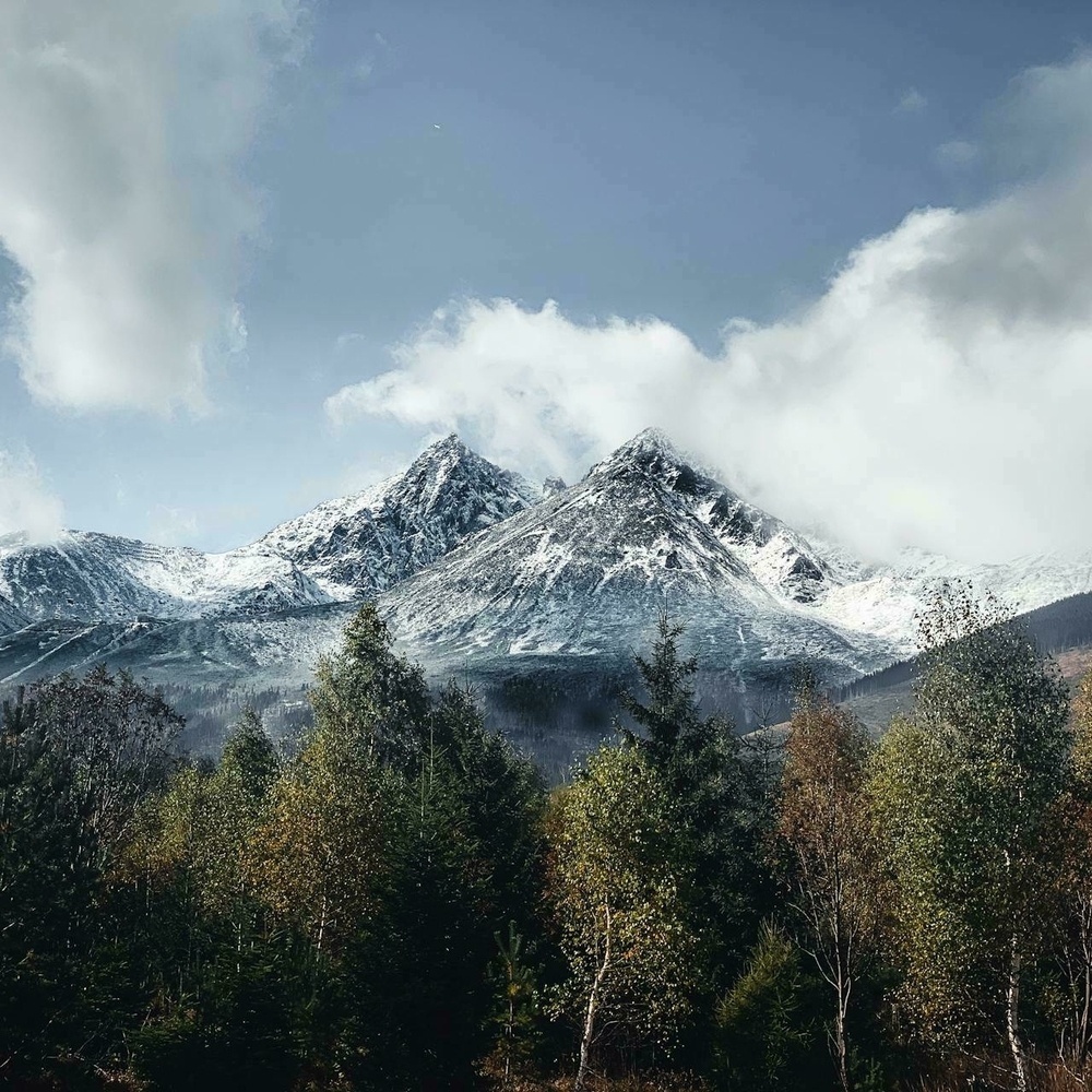 Snow-covered mountains rise majestically above a dense forest under a partly cloudy sky.