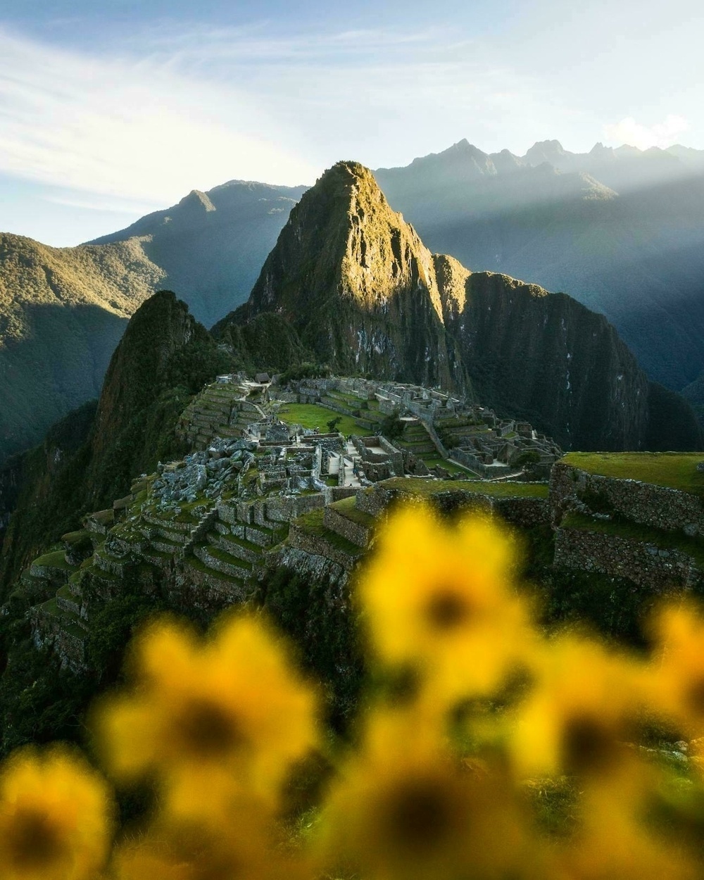 Machu Picchu is beautifully illuminated by sunlight, with yellow flowers in the foreground and a backdrop of mountains.