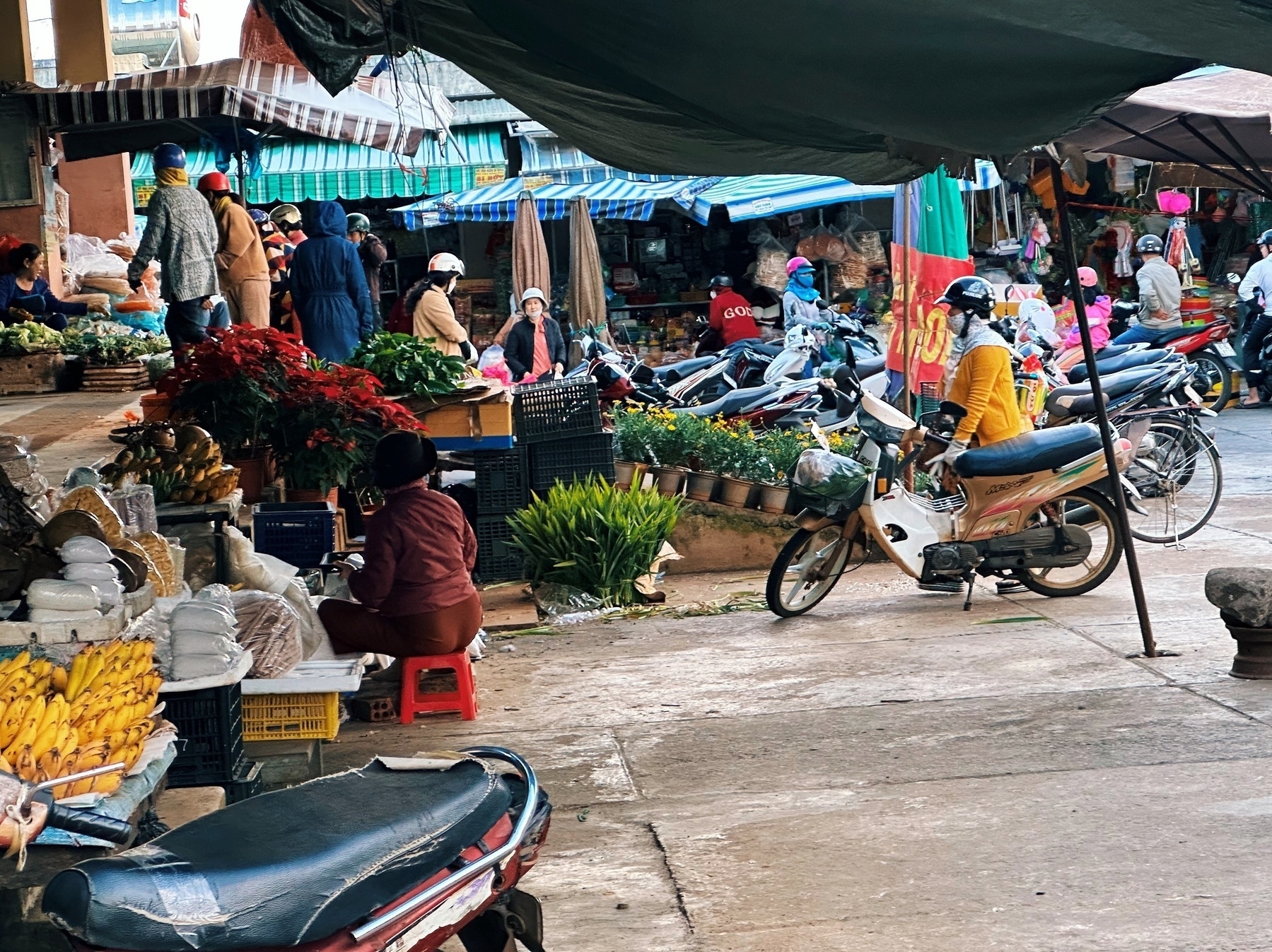 Pre-Tet traditional market