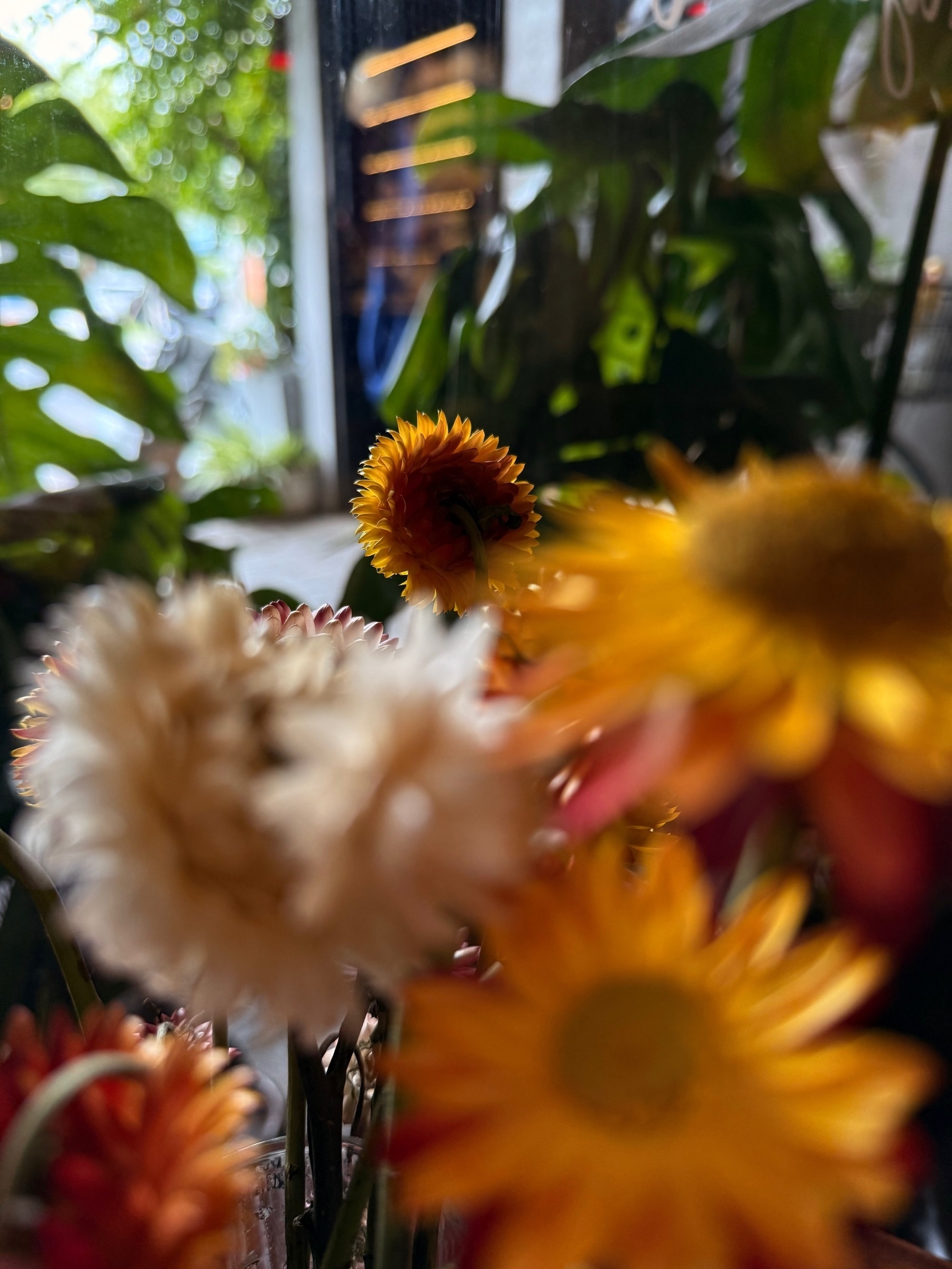 A vibrant close-up of various colorful flowers with blurred greenery in the background.