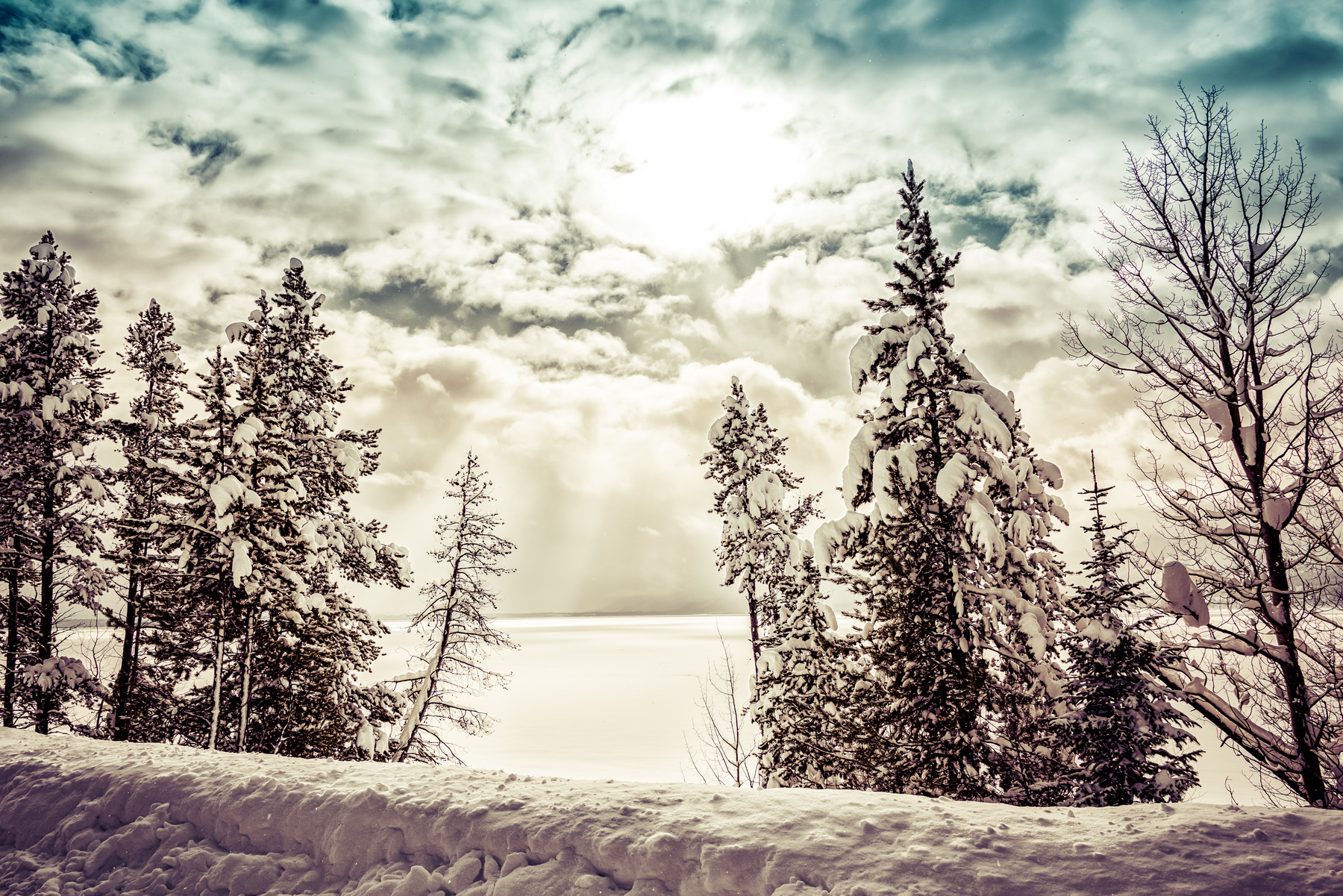Auto-generated description: A snowy landscape features tall, snow-covered trees under a dramatic, cloudy sky with rays of sunlight breaking through.