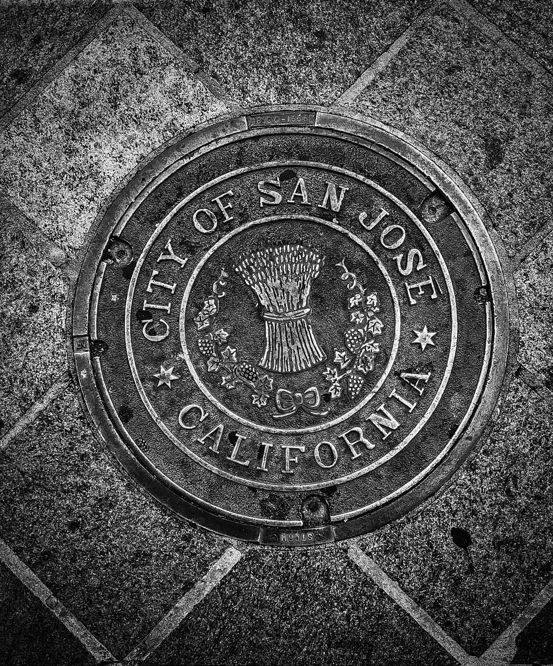 Auto-generated description: A manhole cover embossed with City of San Jose California and a decorative emblem is set in a textured pavement.