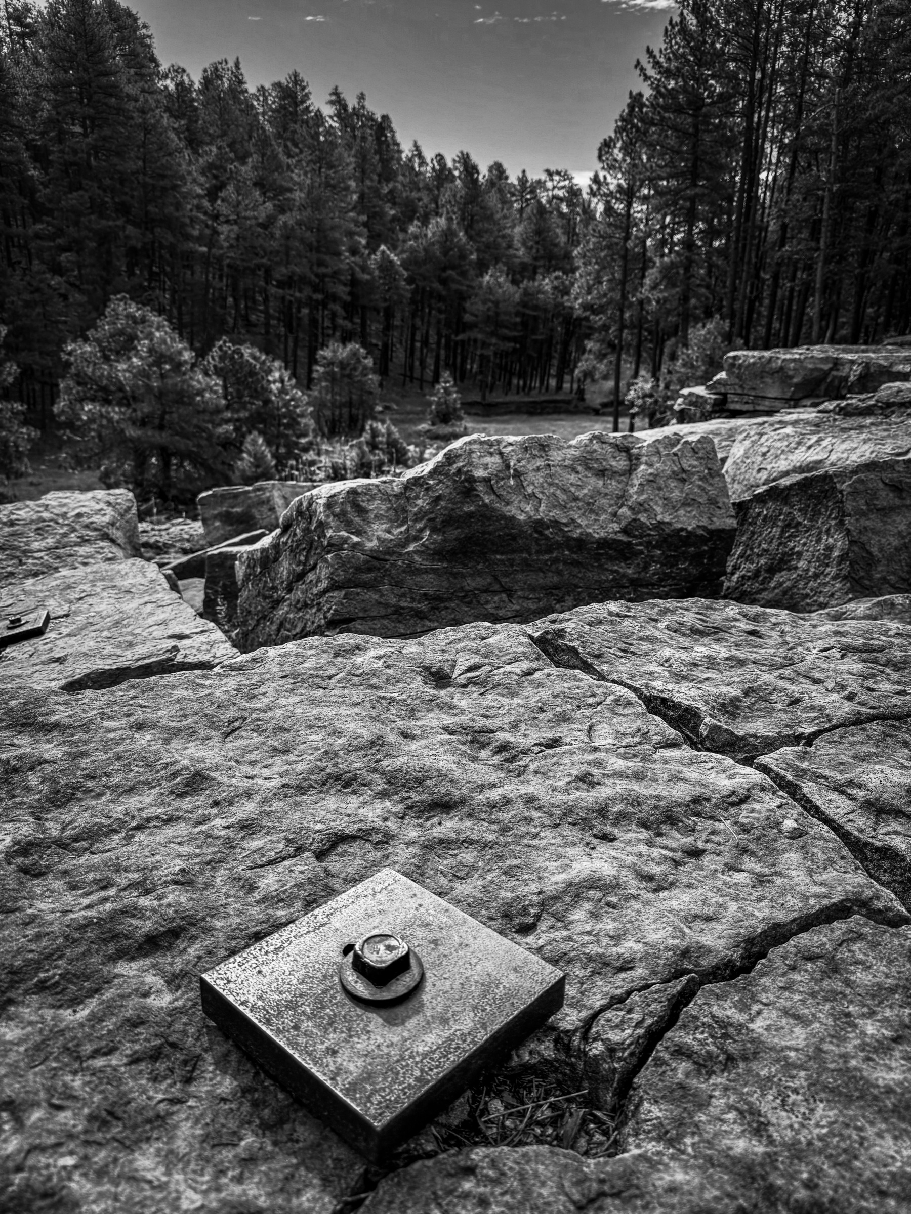 Auto-generated description: A black and white photograph shows a rocky landscape with a metal fixture in the foreground, surrounded by a dense forest of tall trees.
