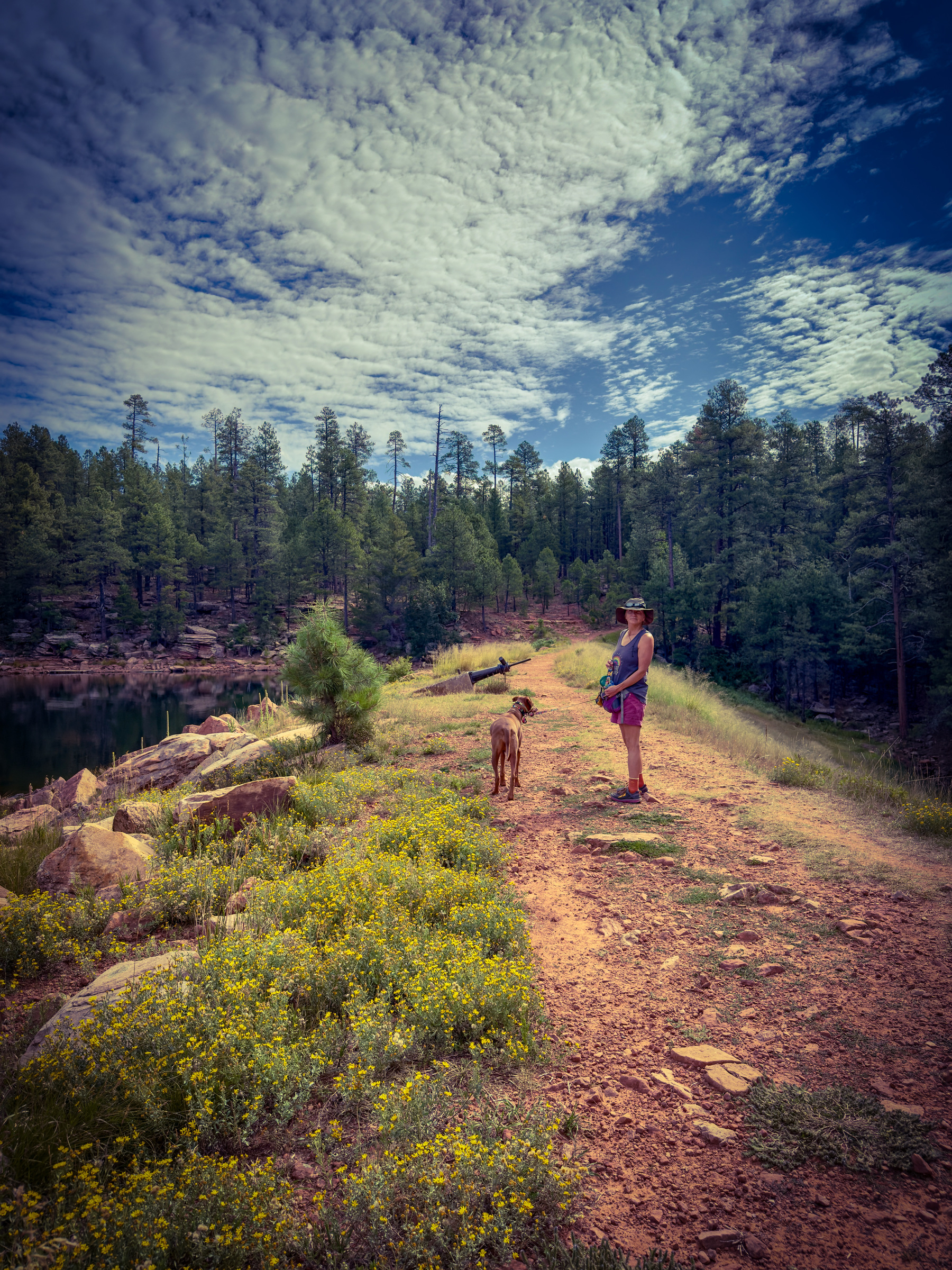 Auto-generated description: A person stands on a grassy, rocky path beside a dog, surrounded by a scenic forest and a partly cloudy sky.