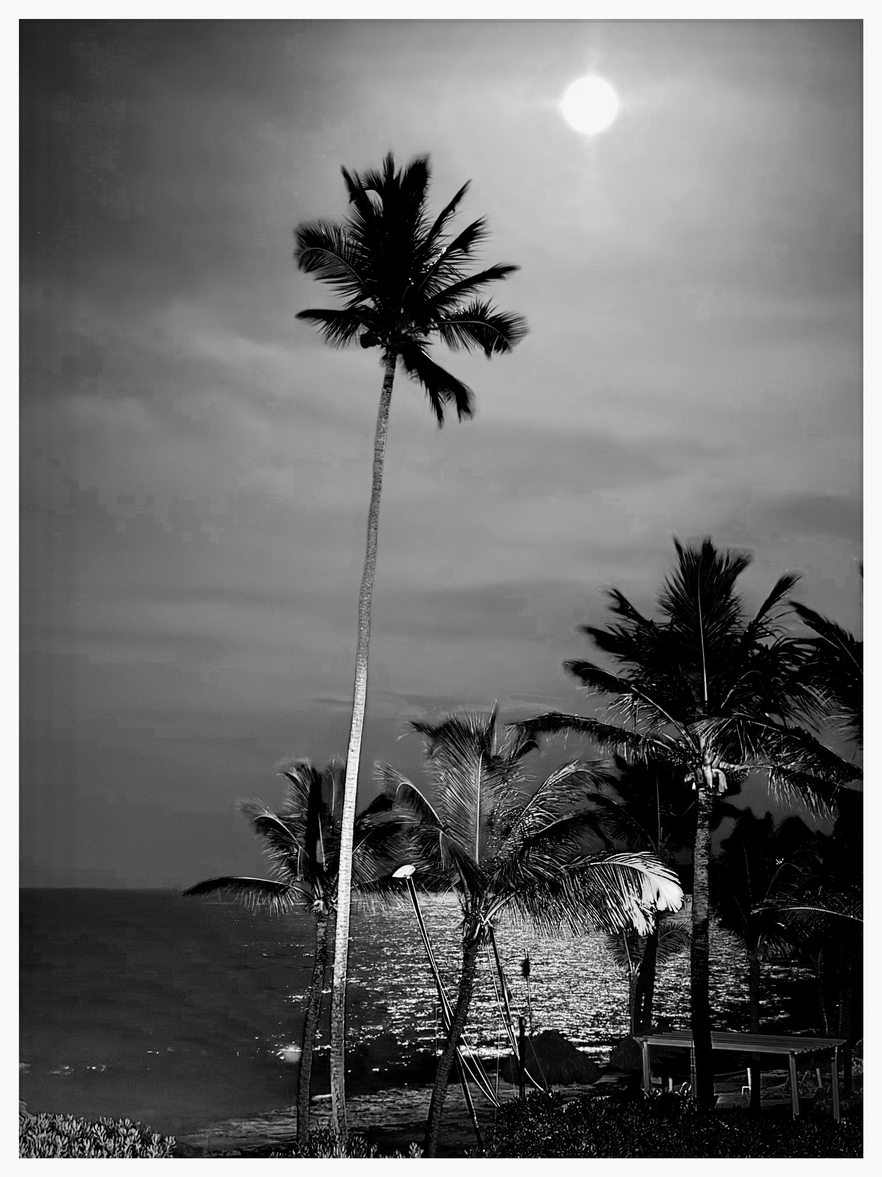 Auto-generated description: A serene scene featuring silhouetted palm trees by the ocean under a bright, full moon.