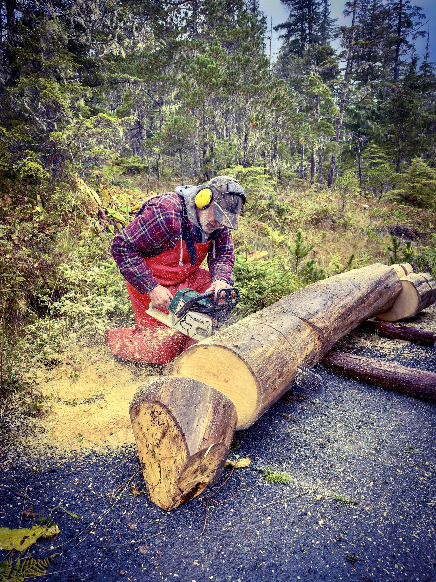 Auto-generated description: A person wearing protective gear is using a chainsaw to carve a large log outdoors in a forested area.