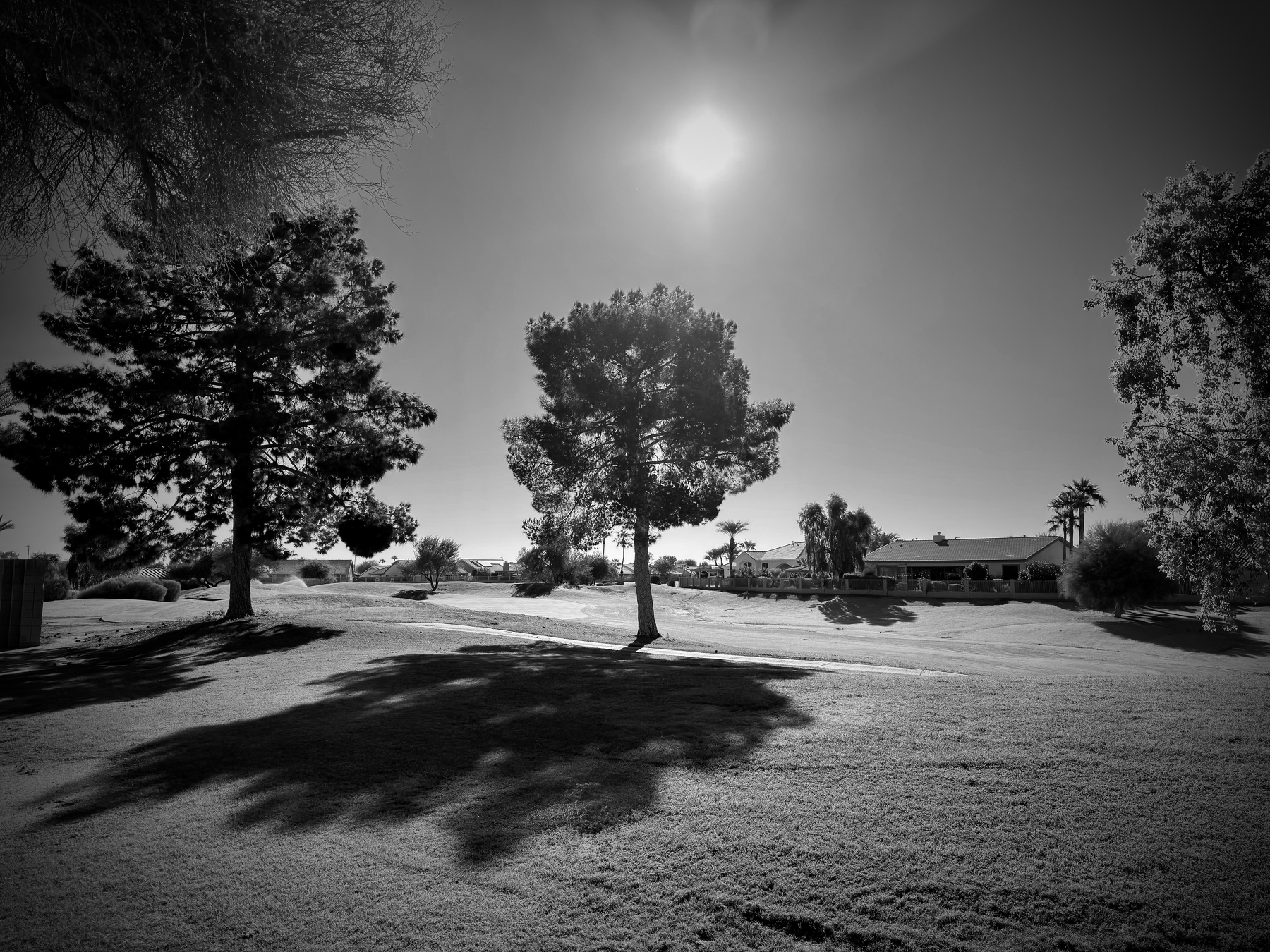 Auto-generated description: A serene landscape features sunlit trees casting shadows on a grassy field, with a house in the distance under a bright sky.