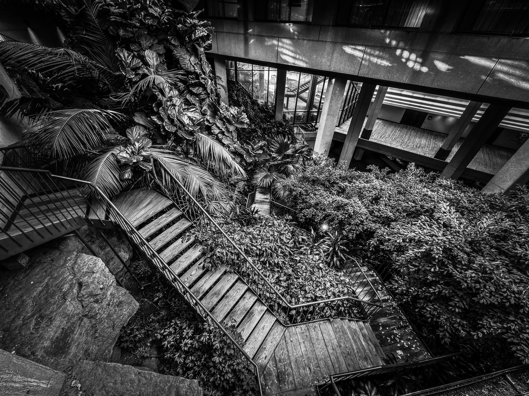 Auto-generated description: A winding staircase is surrounded by lush, dense foliage inside a modern building with large windows.
