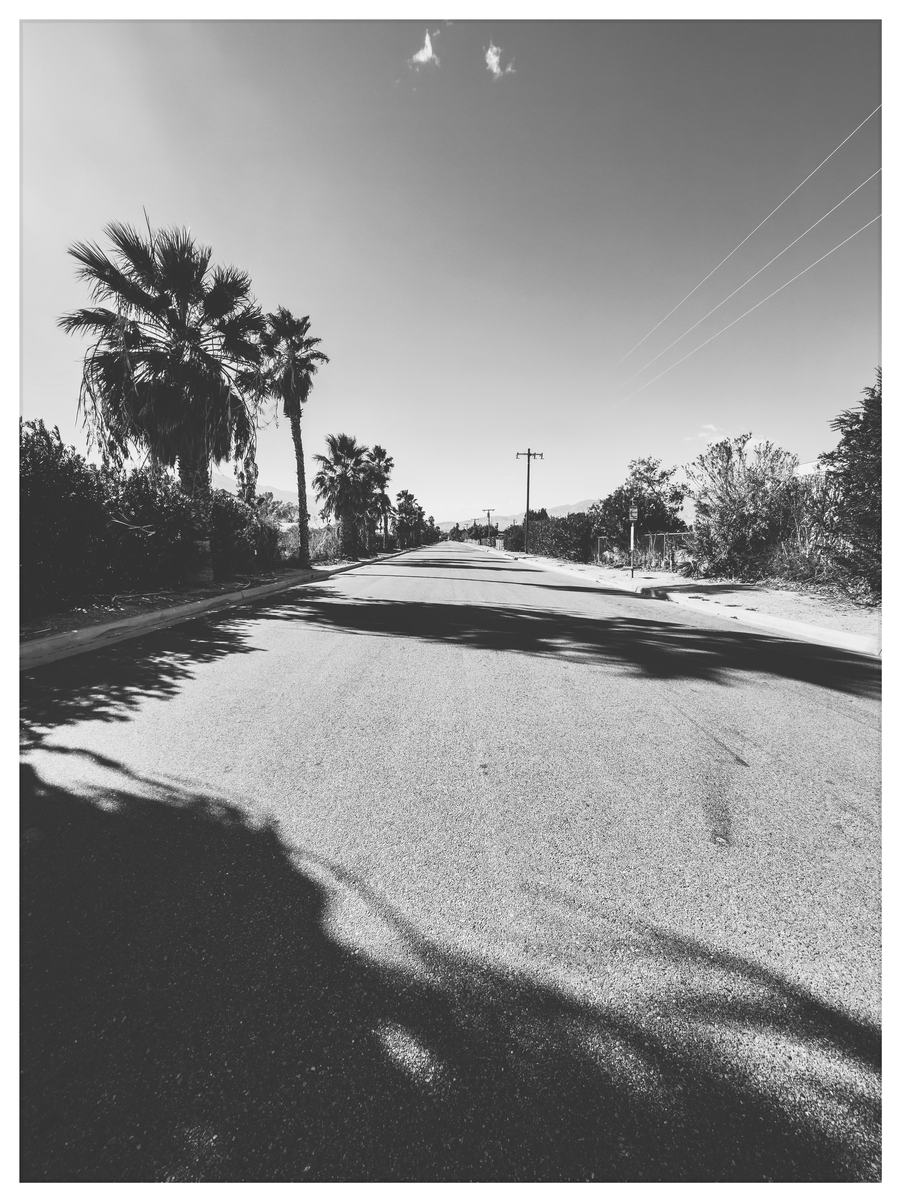 Auto-generated description: A deserted road stretches into the distance, flanked by palm trees and casting long shadows under a clear sky.