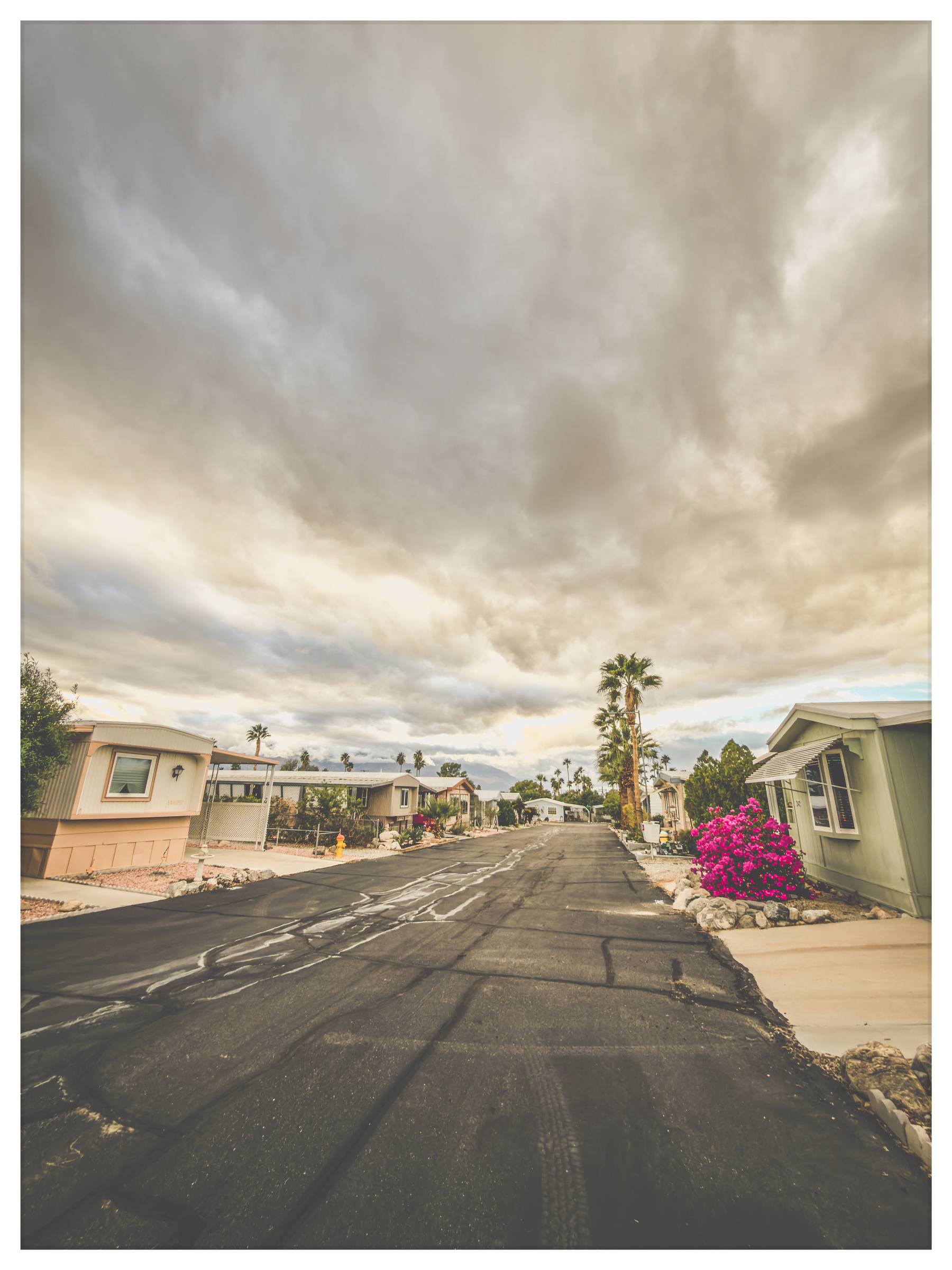 Auto-generated description: A quiet residential street is lined with mobile homes, palm trees, and vibrant bougainvillea under a cloudy sky.