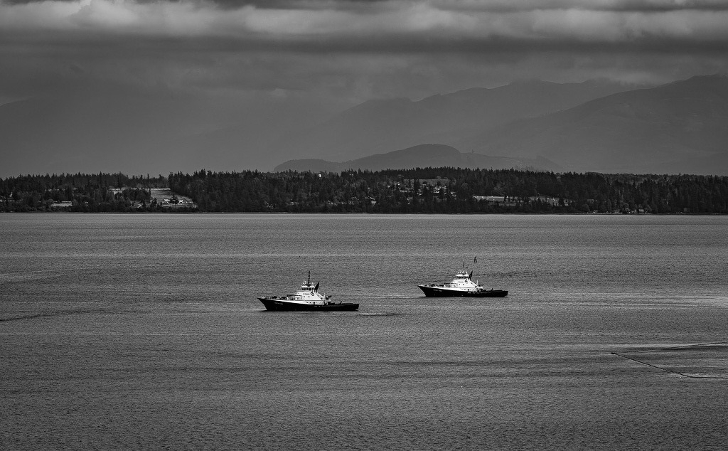 Auto-generated description: Two boats are sailing on calm waters with a forested shoreline and mountains visible in the distance under a cloudy sky.