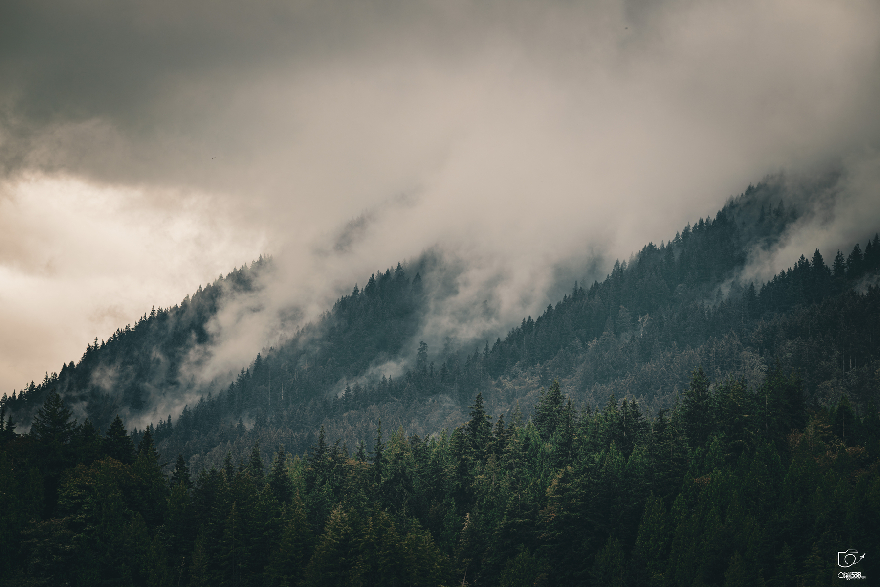 Auto-generated description: A misty forested mountain slope is partially obscured by low-hanging clouds under a moody sky.