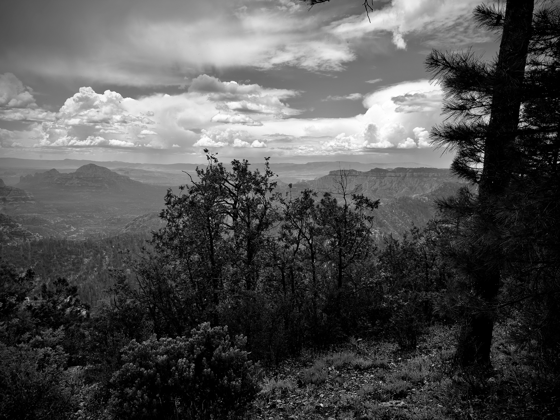Auto-generated description: A black and white landscape shows a mountainous view with trees in the foreground under a cloudy sky.