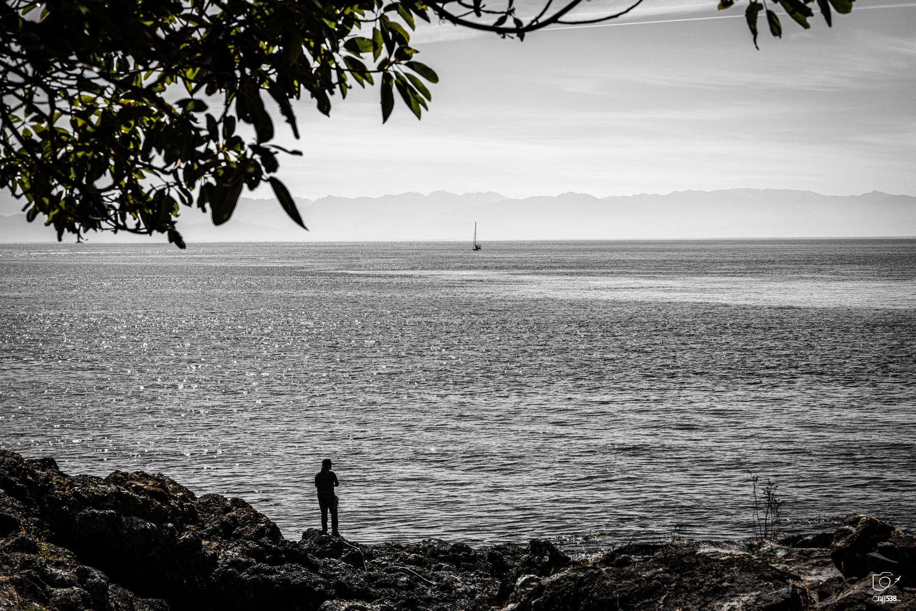 Auto-generated description: A solitary person stands on rocky shore under tree branches, gazing out at a calm sea with a distant sailboat and mountains on the horizon.