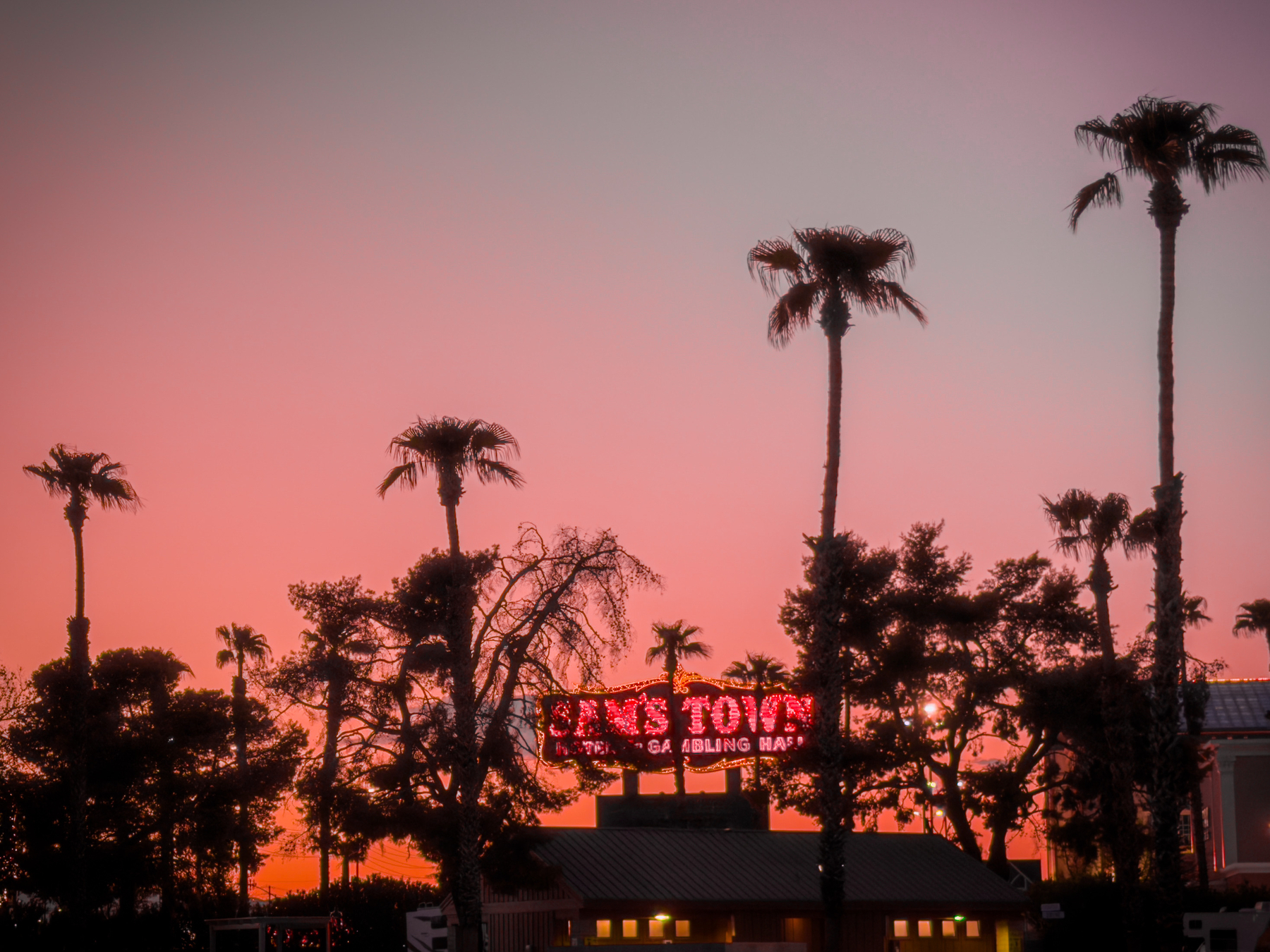 Auto-generated description: Silhouetted palm trees and a building with a glowing red sign stand against a vibrant pink and orange sunset sky.
