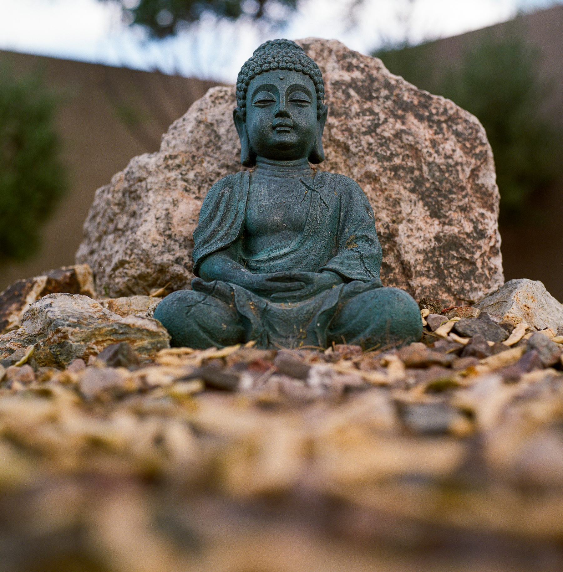 Auto-generated description: A statue of a seated Buddha is placed in front of a large rock, surrounded by scattered leaves.