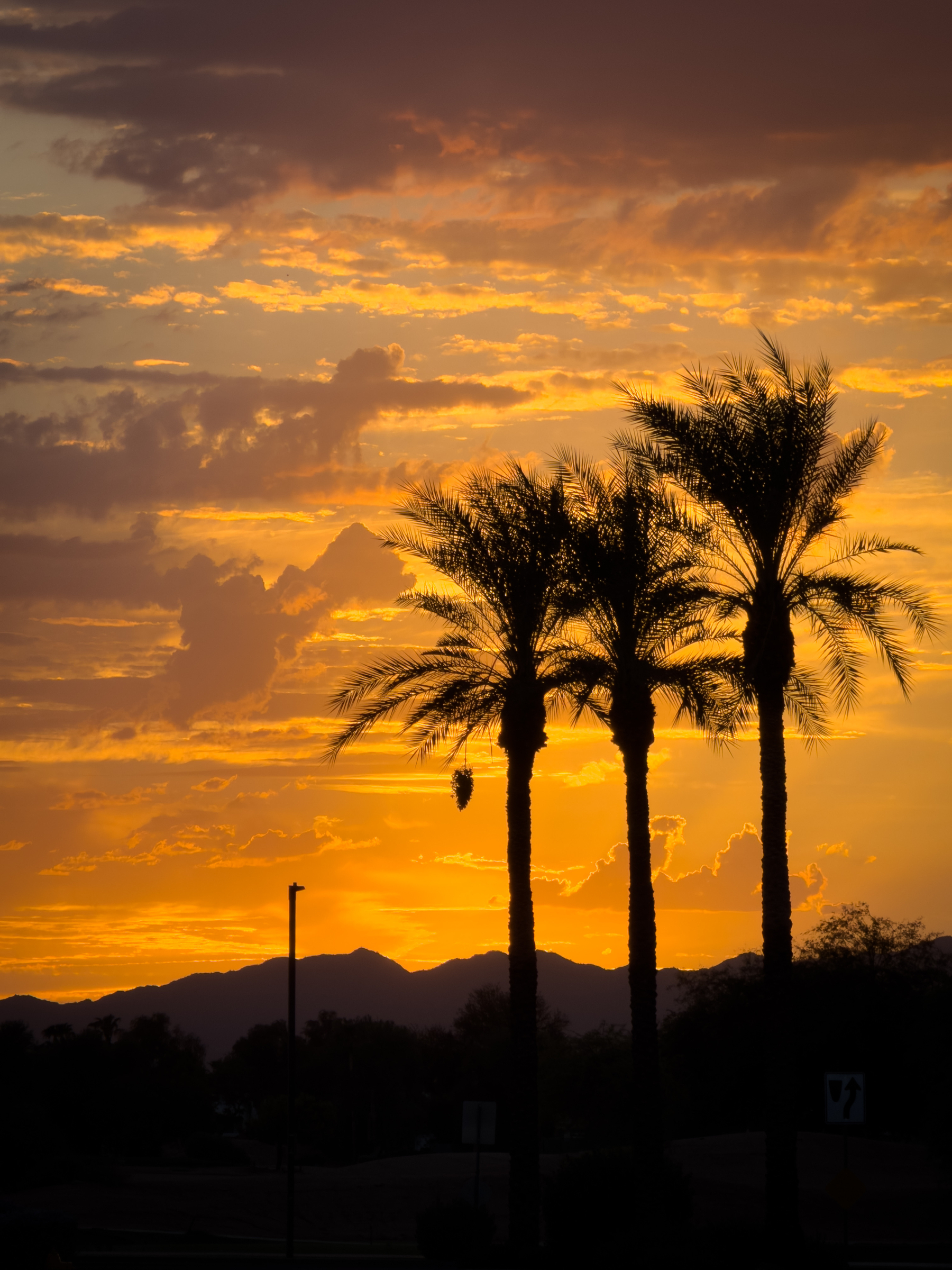 Auto-generated description: Three palm trees stand tall against a vibrant sunset sky with silhouetted mountains in the background.