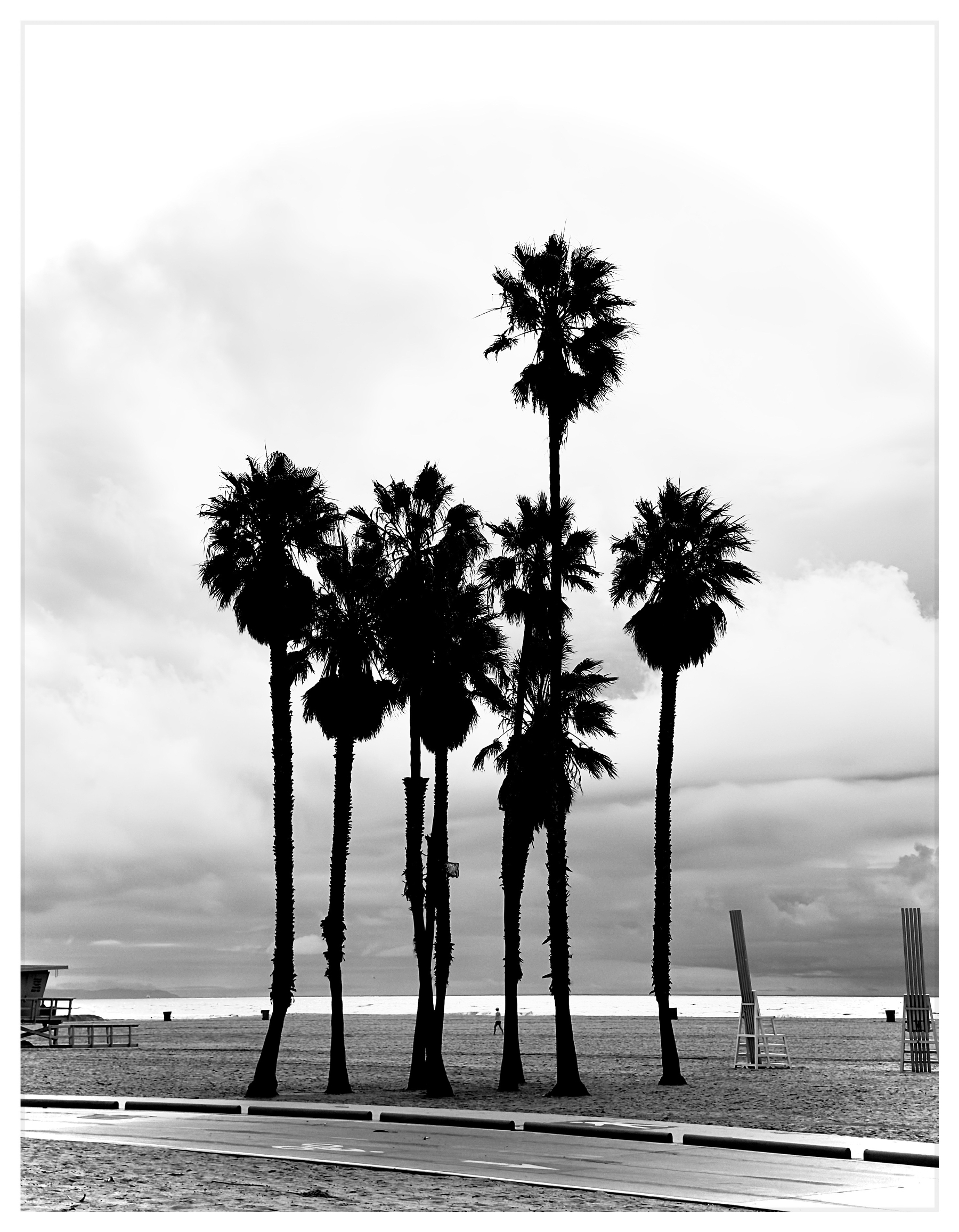 Auto-generated description: Tall palm trees stand silhouetted against a cloudy sky by a beach.