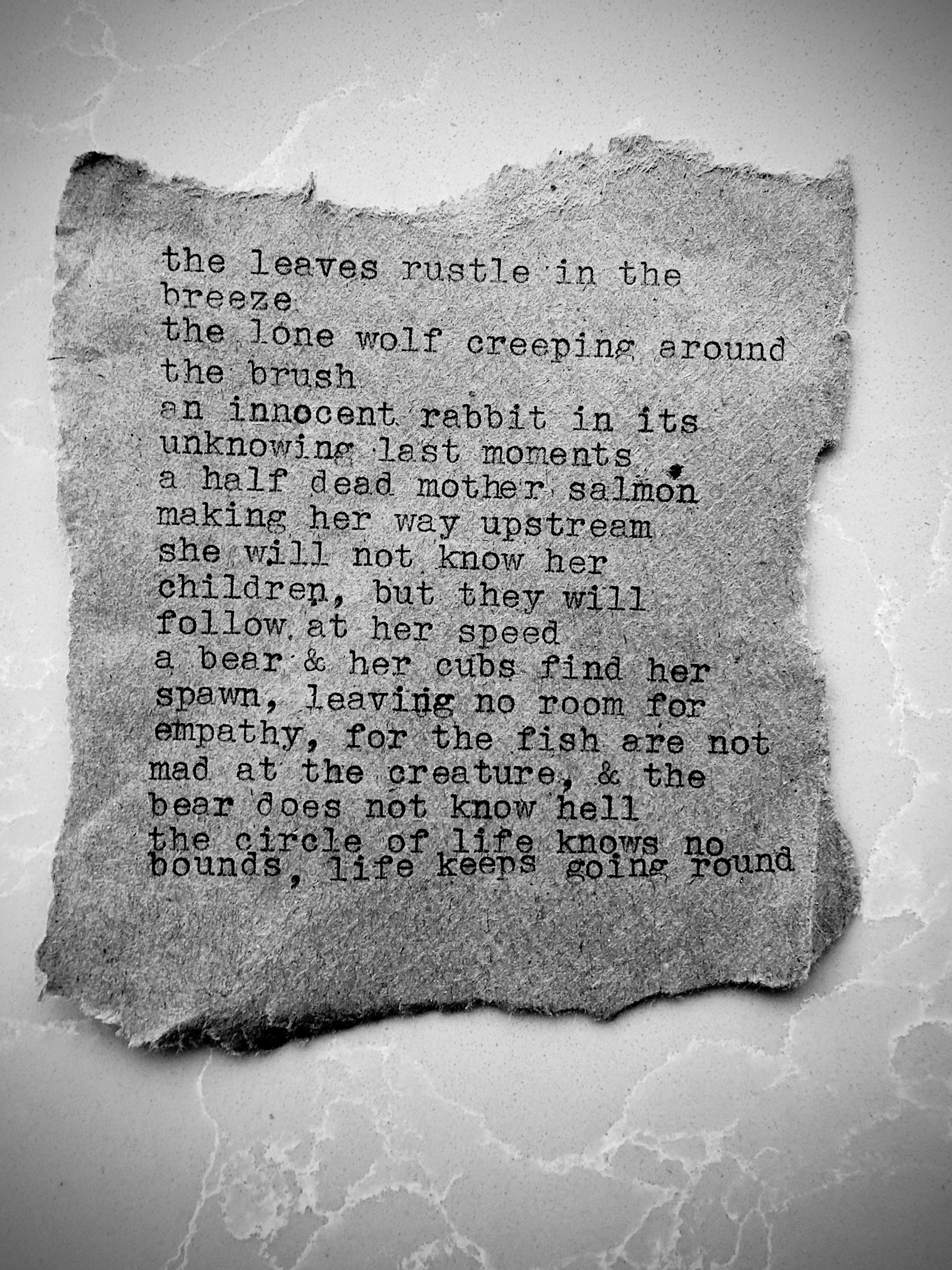 Auto-generated description: A torn piece of paper with a typewritten poem about nature, life, and the cycles of animals like a rabbit, salmon, and bear is displayed on a marble surface.