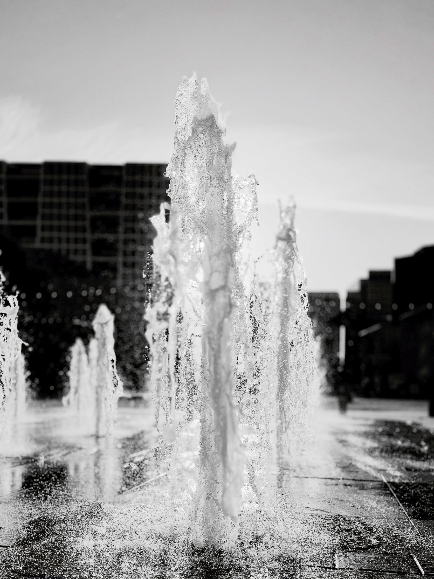 Auto-generated description: A series of water fountains shoot upwards against a cityscape backdrop, captured in black and white.