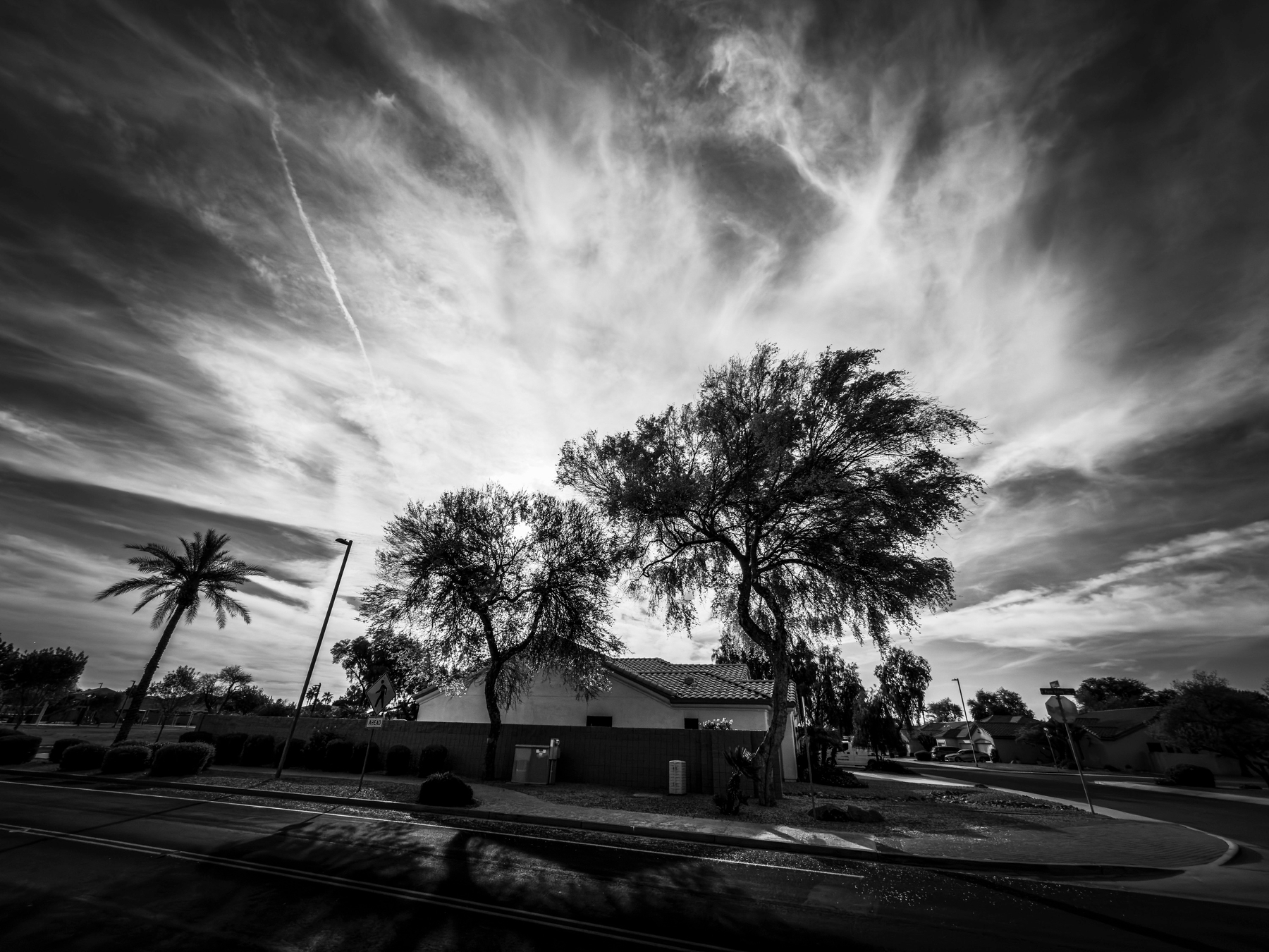 Auto-generated description: A dramatic black and white scene features a suburban house surrounded by trees against a backdrop of striking, cloudy skies.