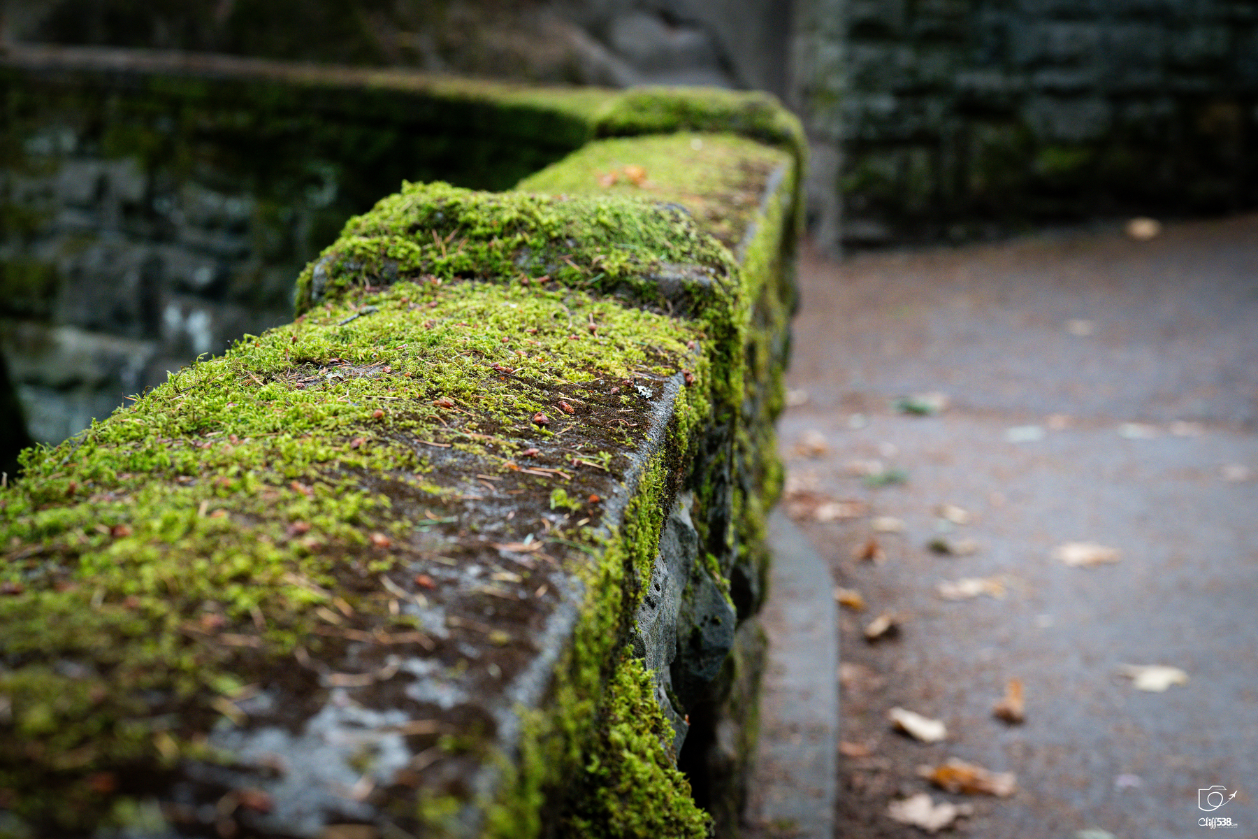 Auto-generated description: A moss-covered stone railing lines a pathway in an outdoor setting.