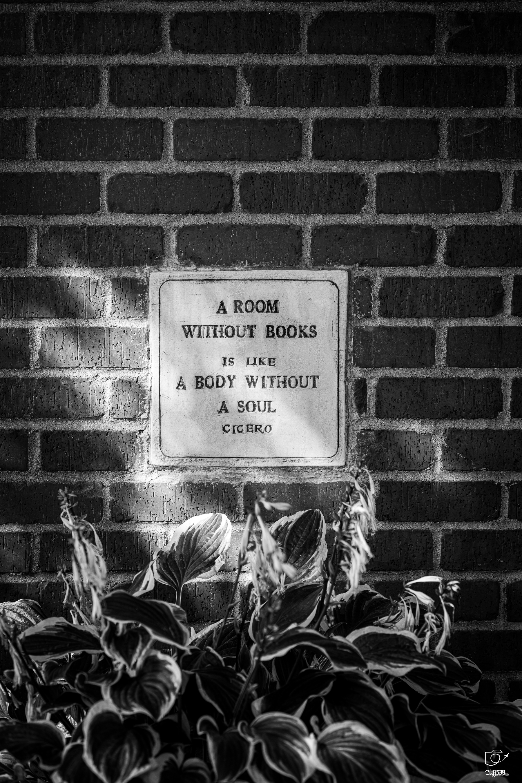 Auto-generated description: A brick wall features a plaque with a quote by Cicero that reads, A room without books is like a body without a soul, with plants growing at the base.
