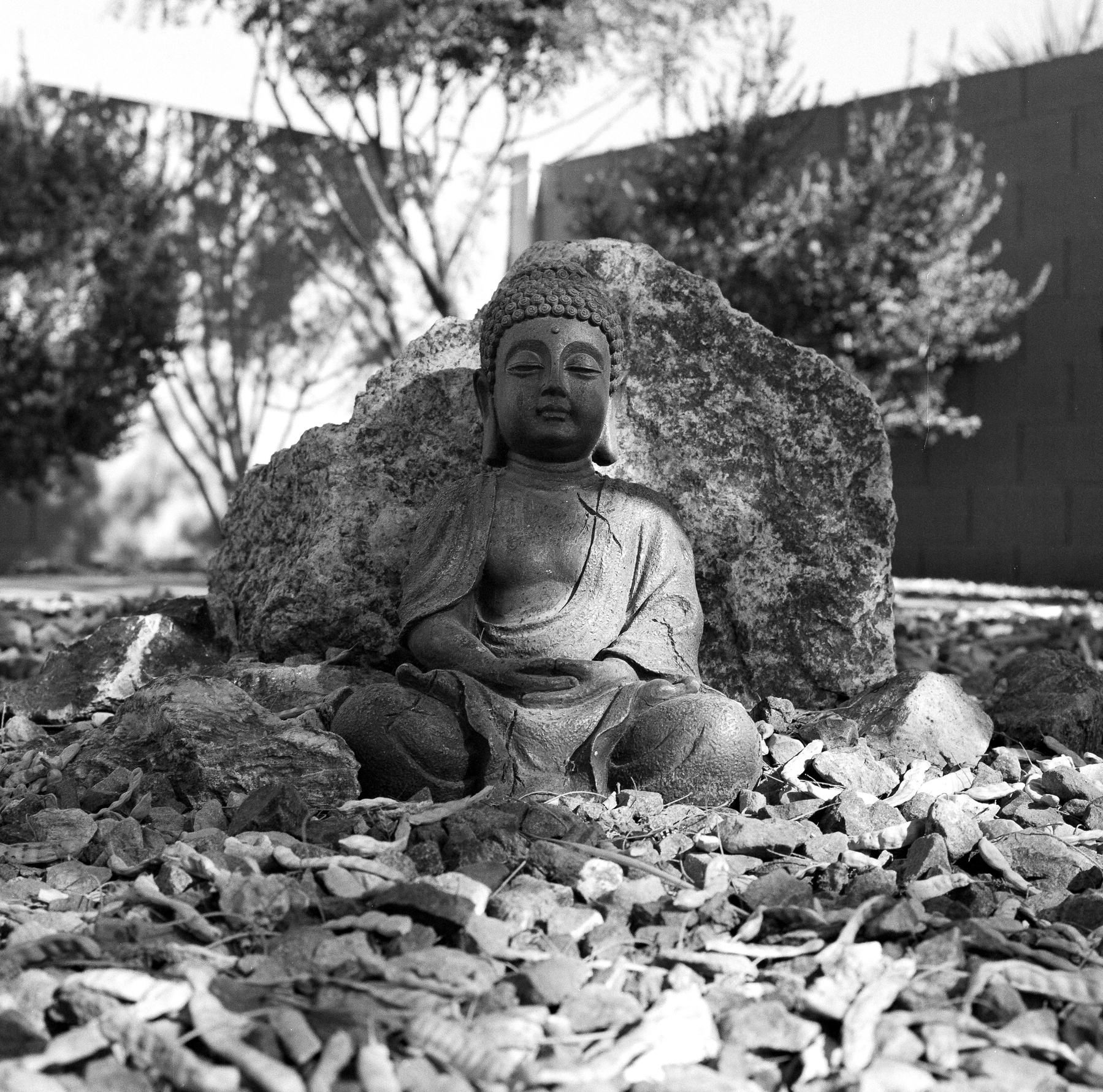Auto-generated description: A small Buddha statue is seated in a meditative pose among rocks and fallen leaves in an outdoor garden setting.