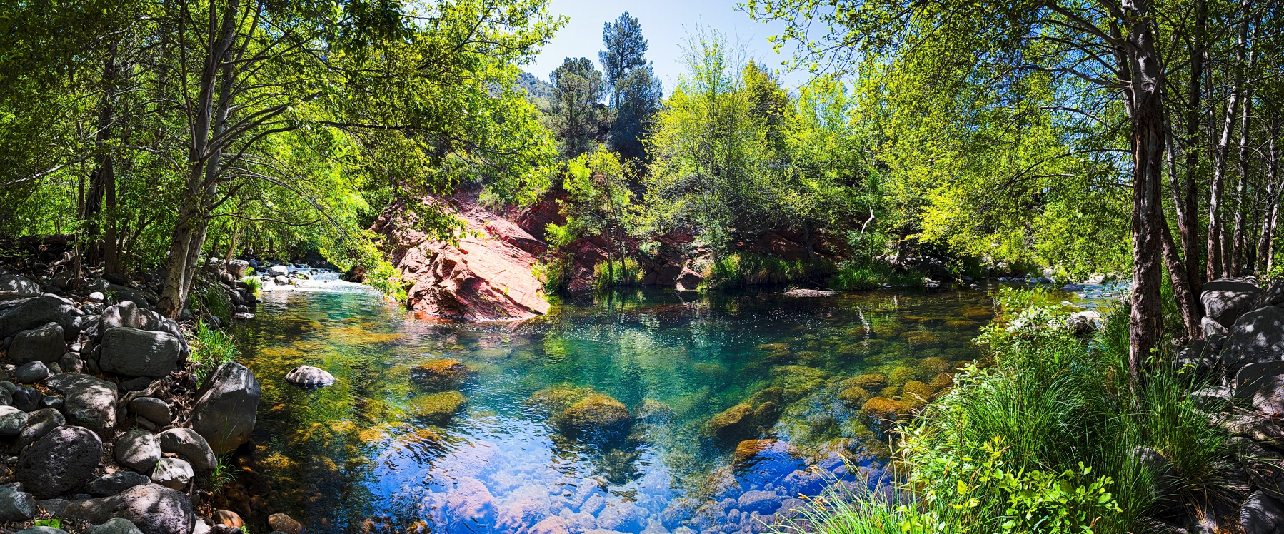 Auto-generated description: A serene, crystal-clear river flows through a lush, green forest with rocks visible beneath the water.