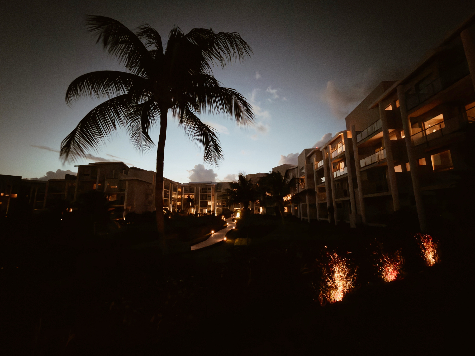 Auto-generated description: A tropical resort is silhouetted against the evening sky, illuminated by sparse lights and framed by a prominent palm tree.