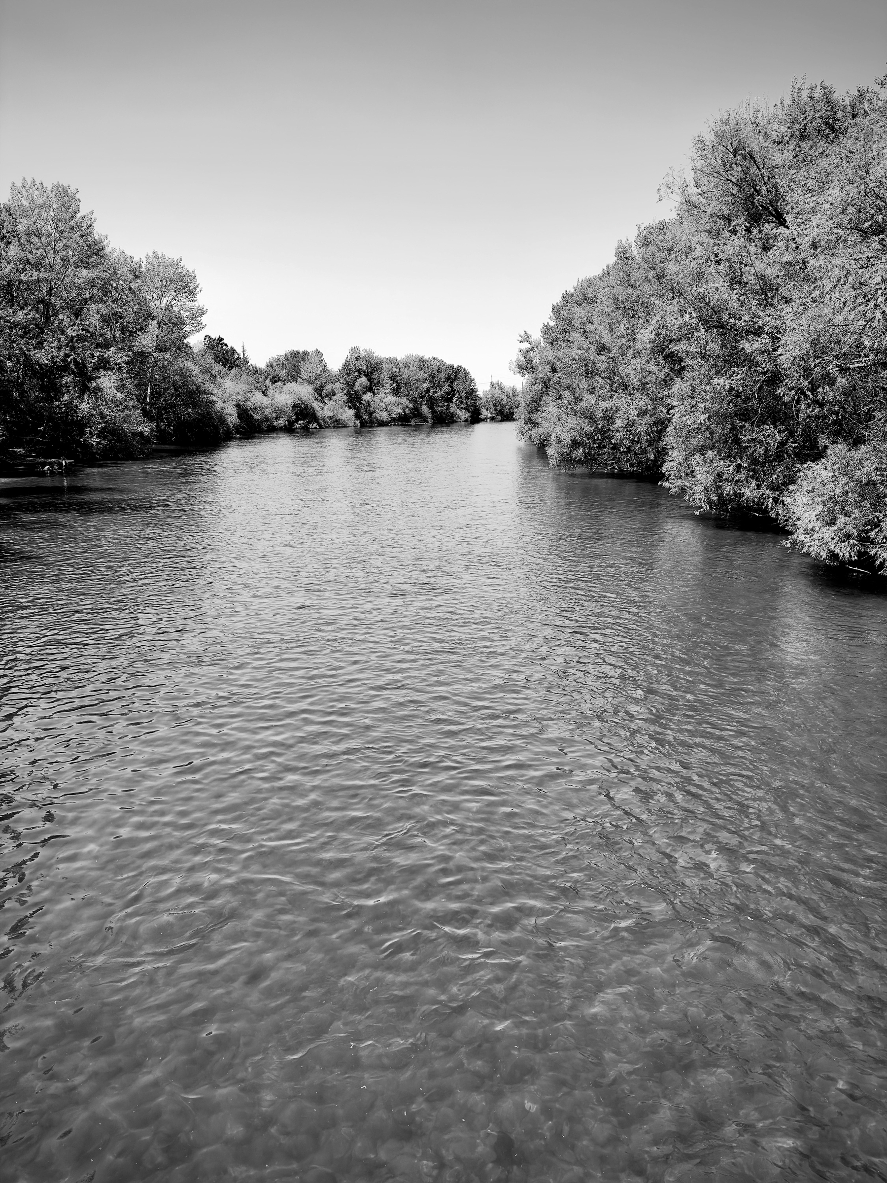 Auto-generated description: A calm river flows gently between densely wooded banks under a clear sky.