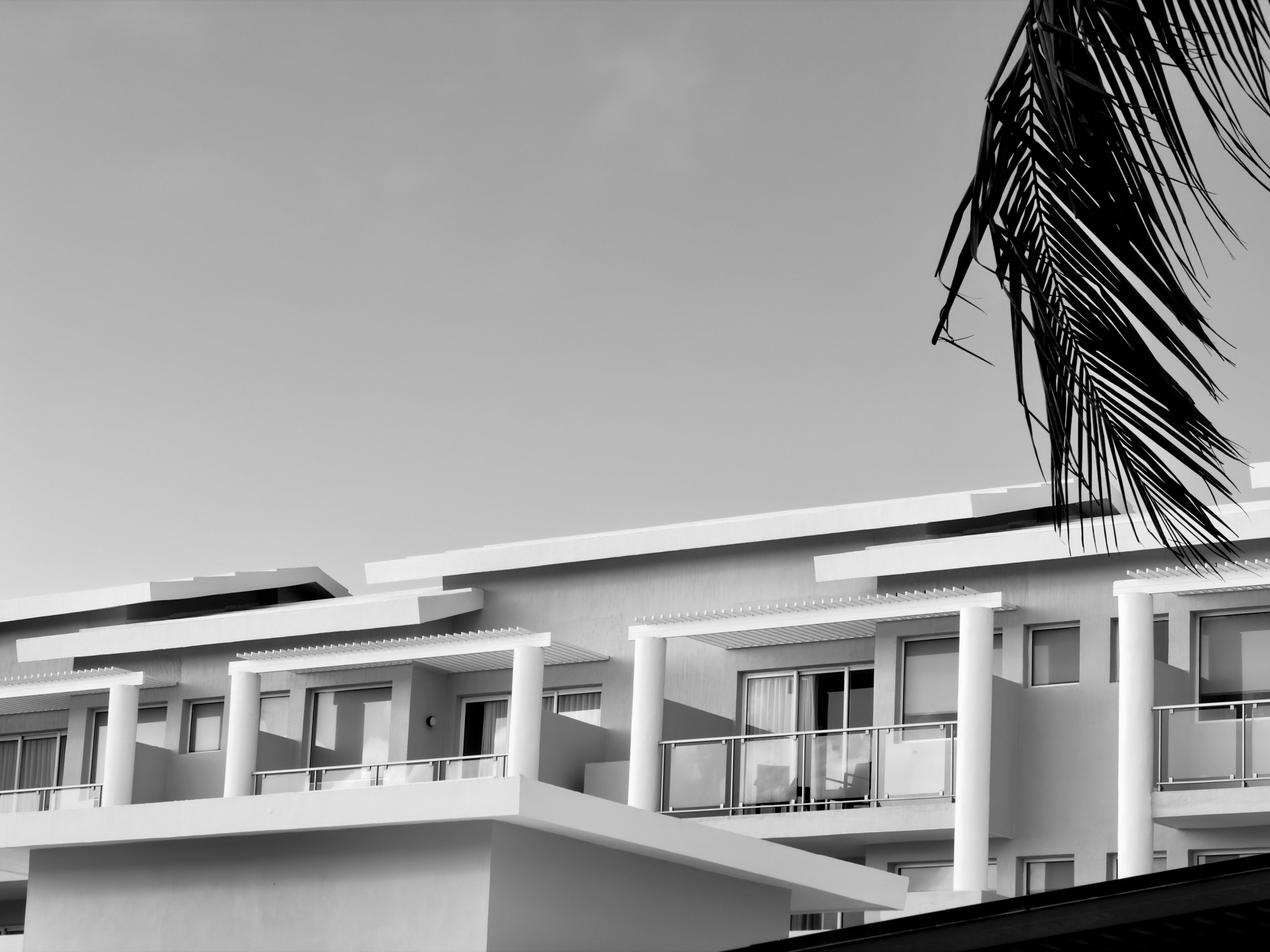 Auto-generated description: A modern, multi-story building features large windows and balconies, with a palm leaf partially visible in the foreground.