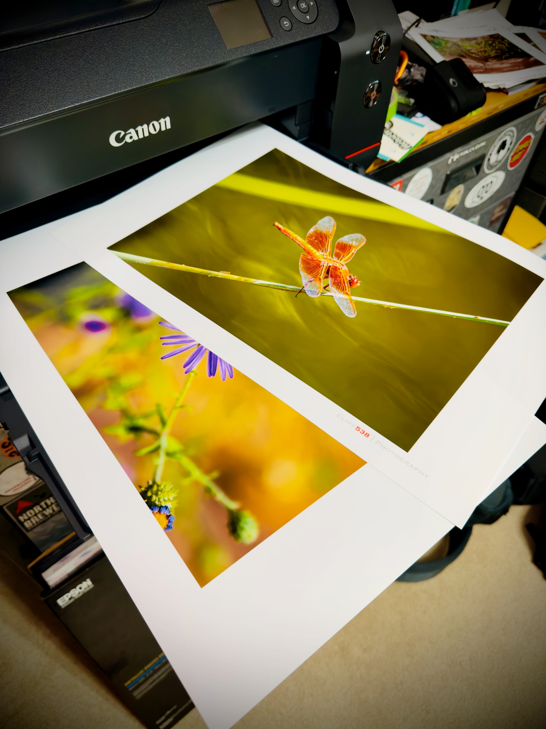 Auto-generated description: A printer is producing a sheet with vivid photographs of a dragonfly and a flower.