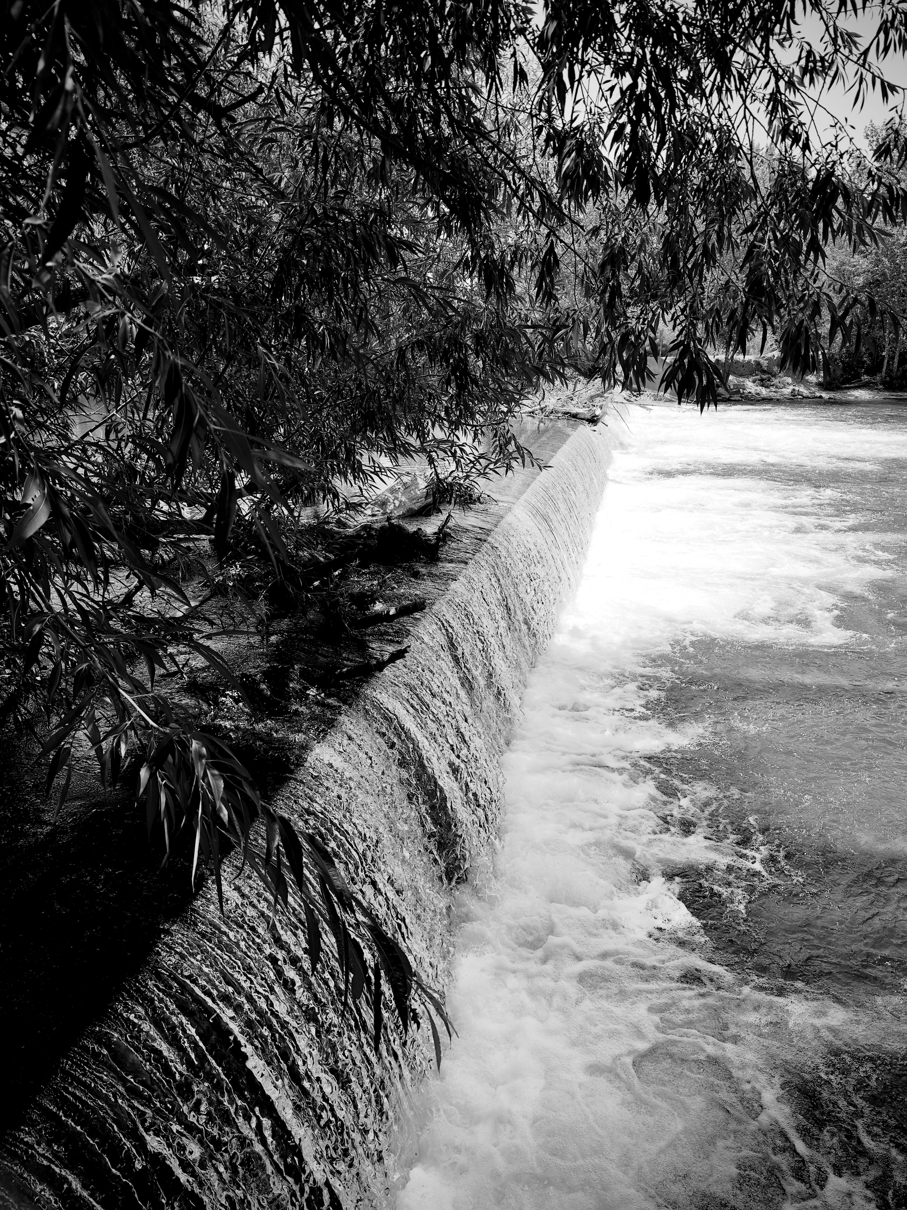 Auto-generated description: A cascading waterfall flows under the overhanging branches of leafy trees.