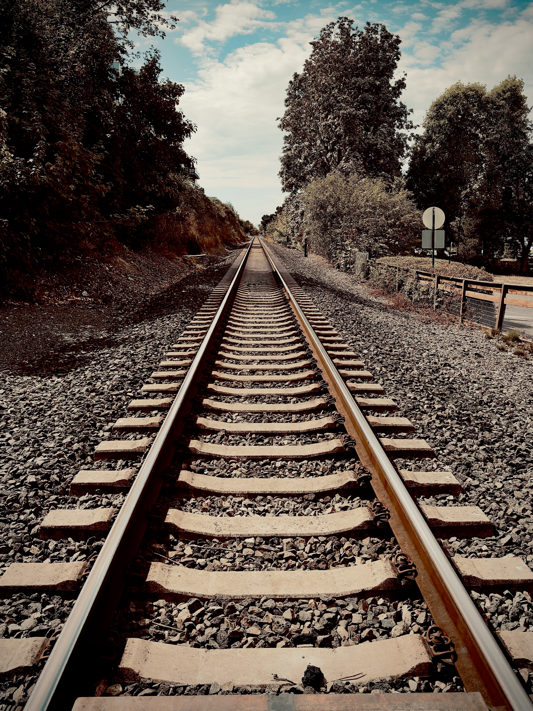 Auto-generated description: A single set of railroad tracks extends straight into the distance, flanked by trees and gravel on either side under a partly cloudy sky.