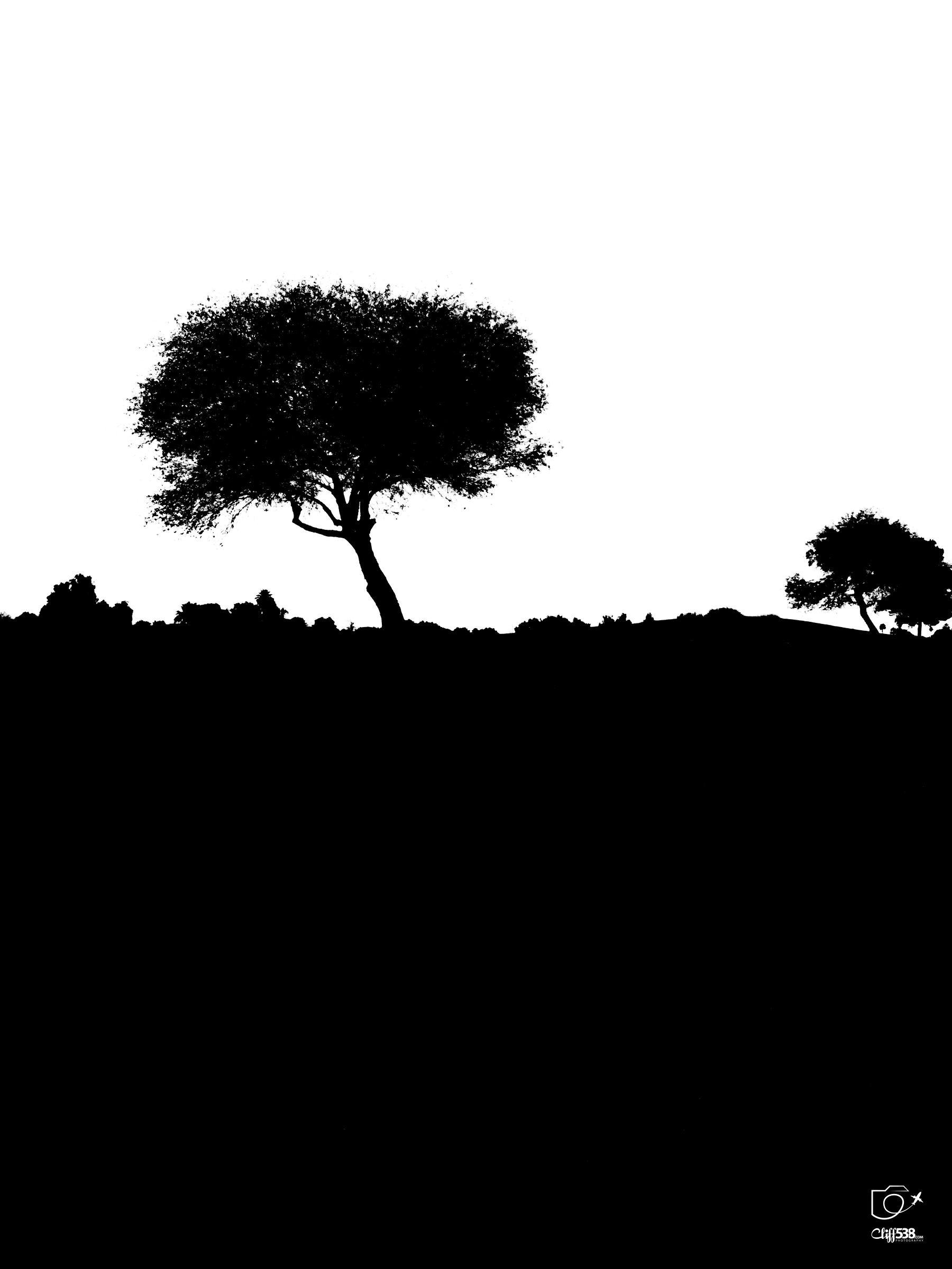 Auto-generated description: A silhouette of a lone tree stands against a stark white sky with a smaller tree in the distance.