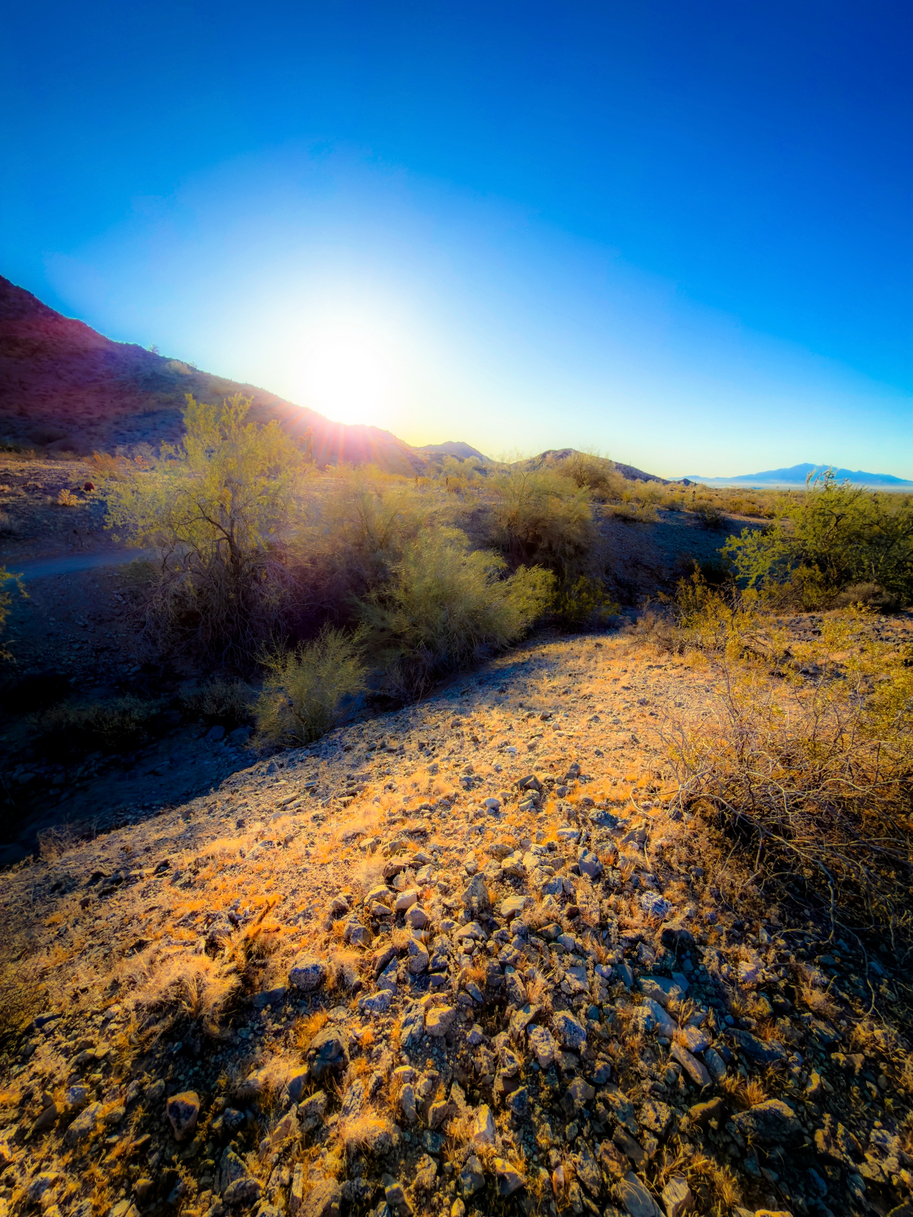 Auto-generated description: A sunlit desert landscape features rocky ground, sparse vegetation, and a vivid blue sky.