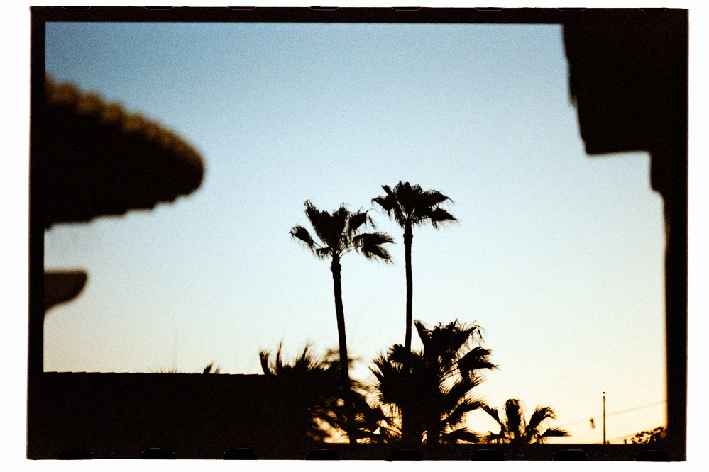 Silhouettes of palm trees stand against a clear evening sky with parts of buildings framing the scene.