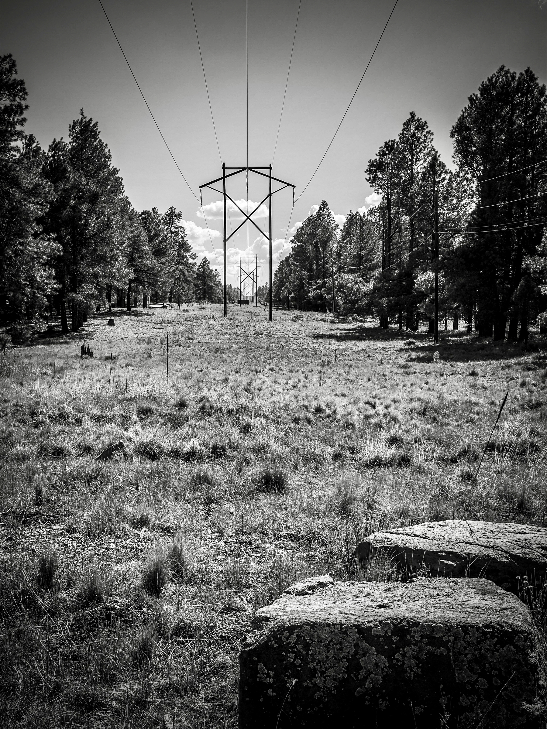 Auto-generated description: A black and white landscape features power lines stretching into the distance amidst trees and grassy terrain, with large rocks in the foreground.