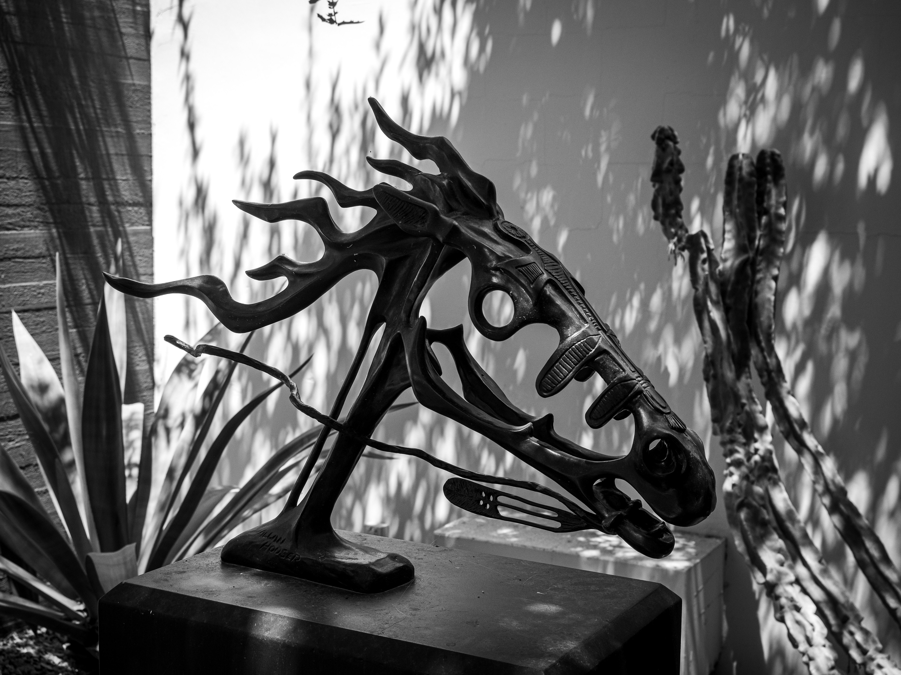 A black and white sculpture resembling a stylized horse head is displayed outdoors among plants and shadows.