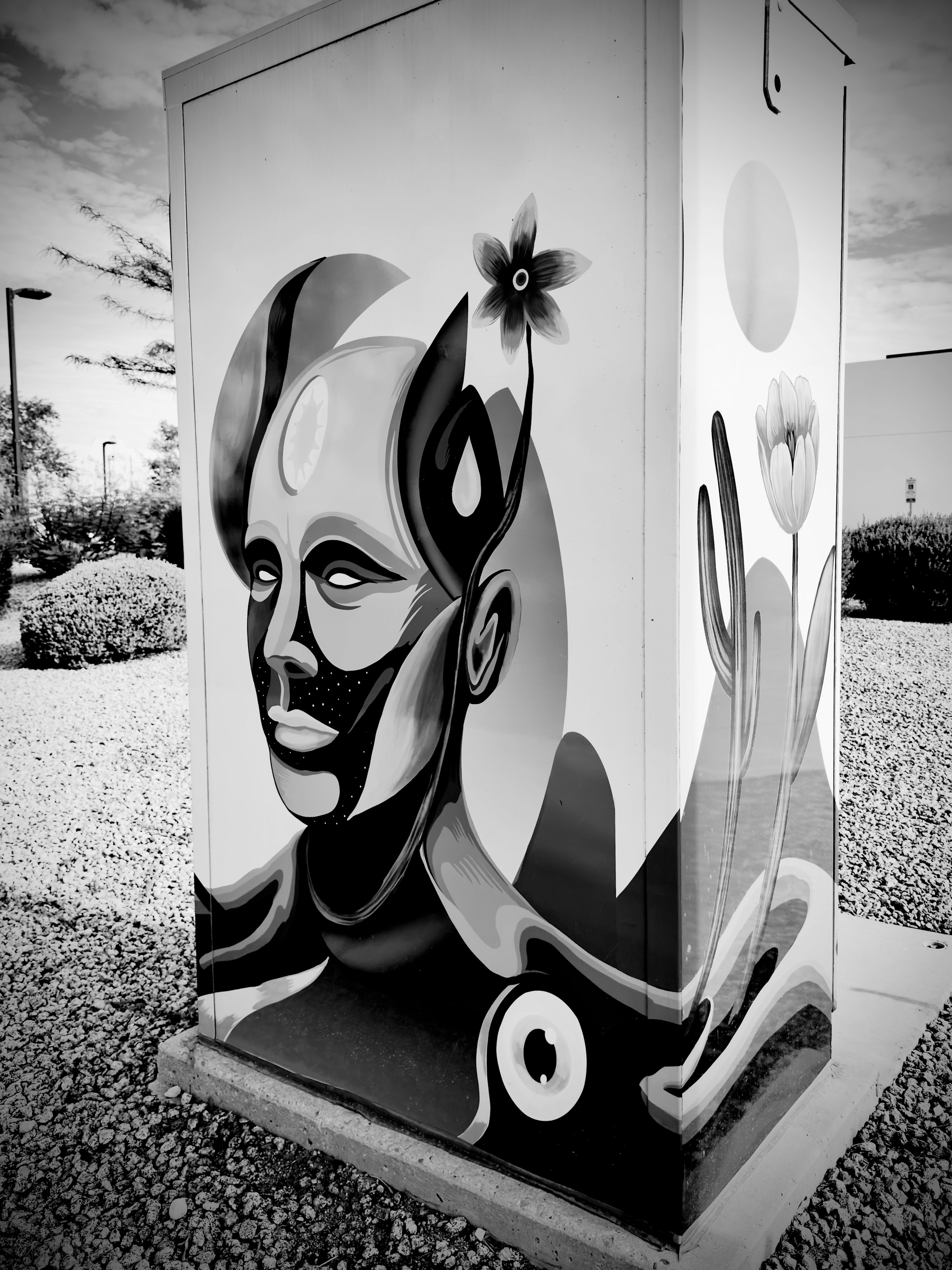 Auto-generated description: A stylized portrait of a human face is painted on a utility box, accompanied by floral and abstract designs.