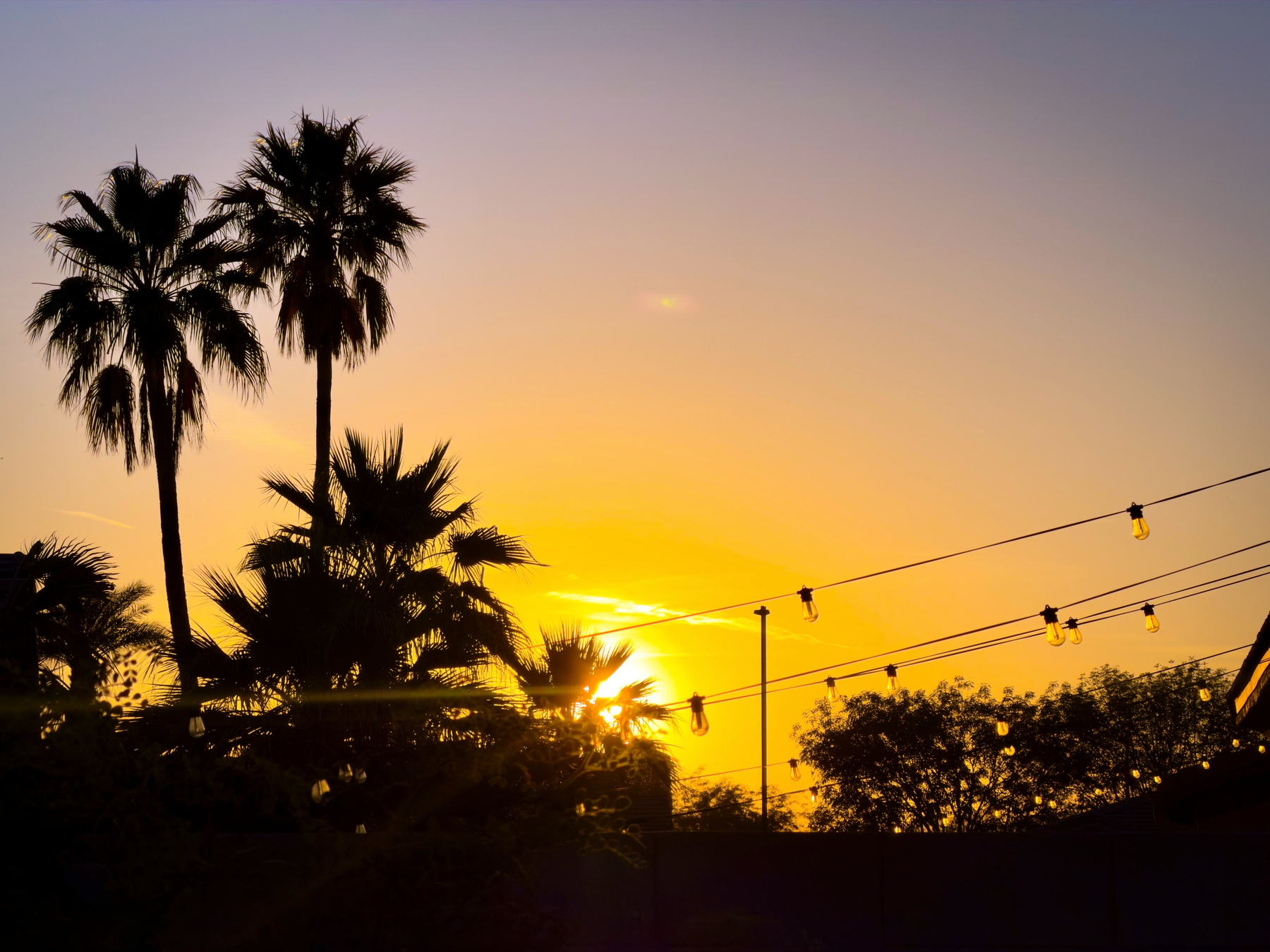 Auto-generated description: A beautiful sunset with palm trees silhouetted against a vibrant sky and string lights.