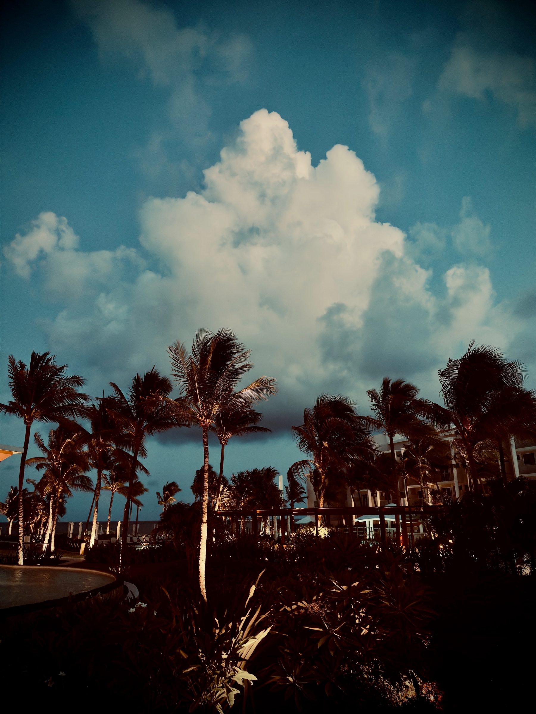 Auto-generated description: Palm trees sway against a backdrop of a dramatic, cloud-filled sky at what appears to be a coastal resort.