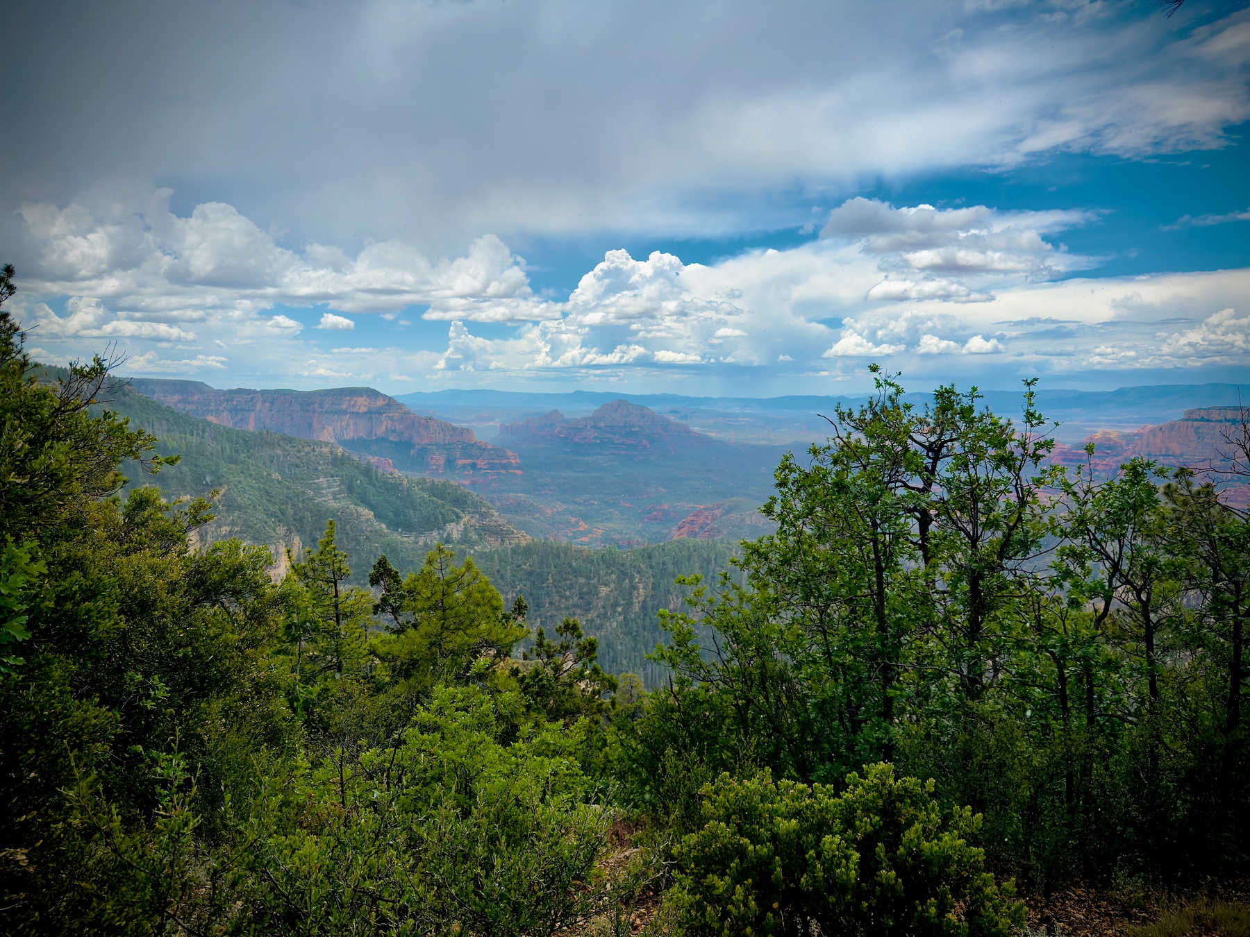 Auto-generated description: A scenic view of a lush green forest with distant cliffs and a partly cloudy sky in the background.